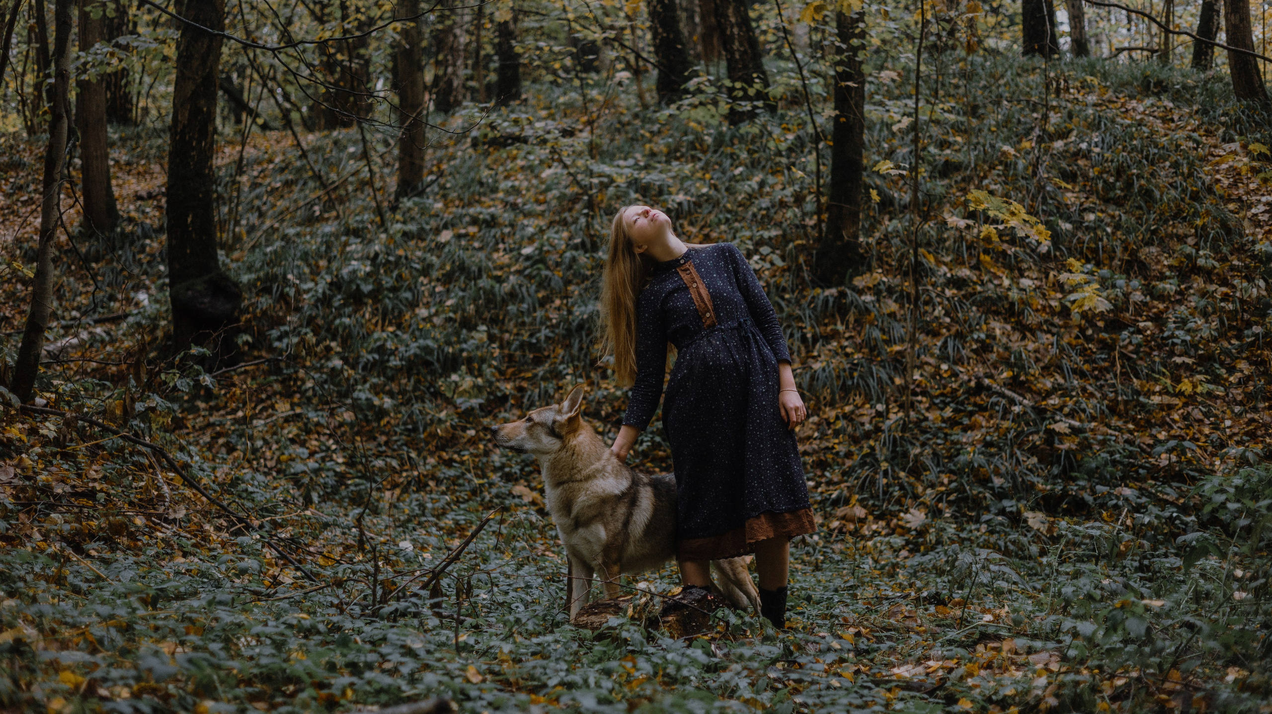 Полина и Вегард. Фотограф-анималист Богданова Полина
