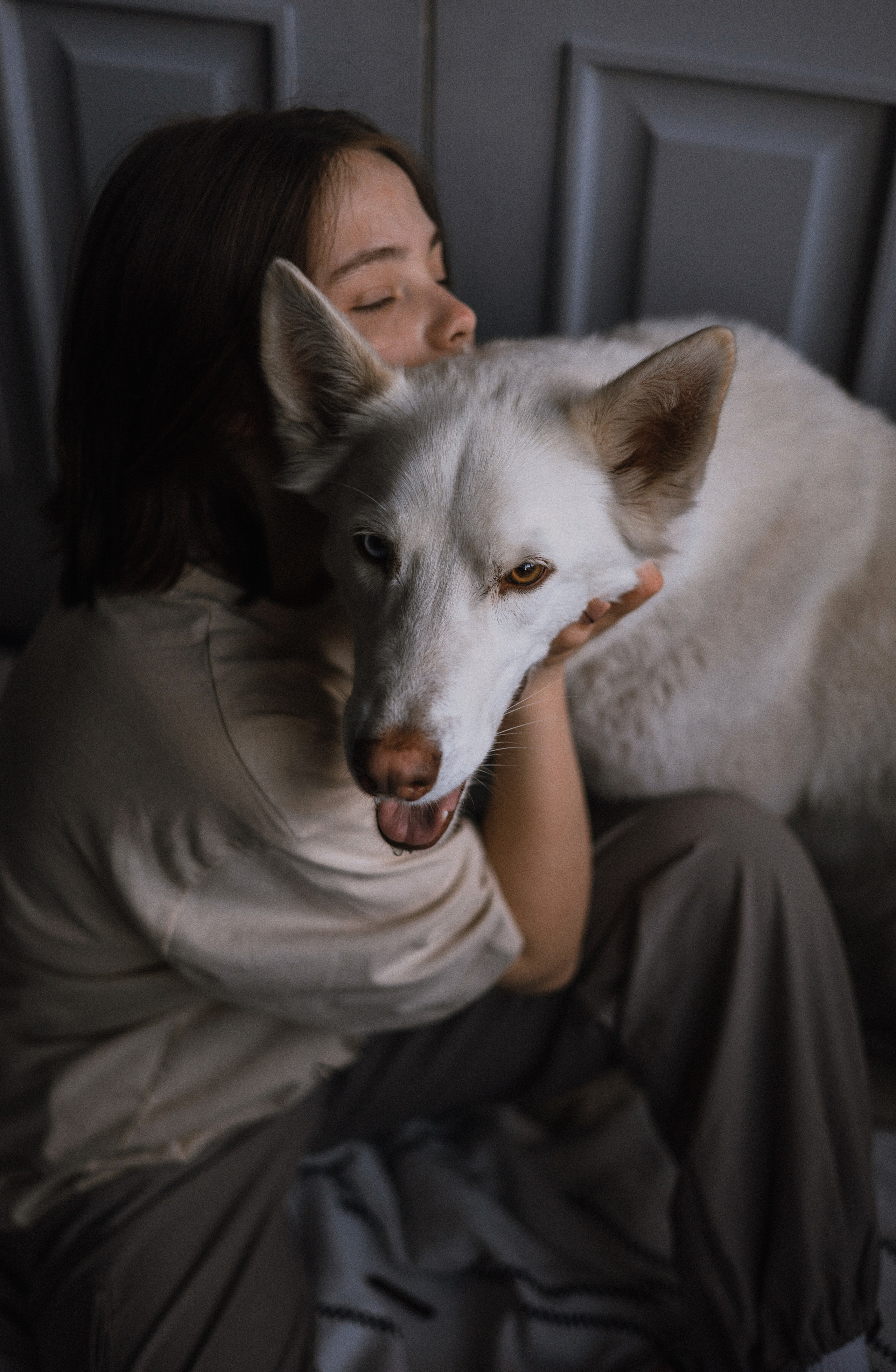 Аня, Дэймон и Грэй. Фотограф-анималист Богданова Полина