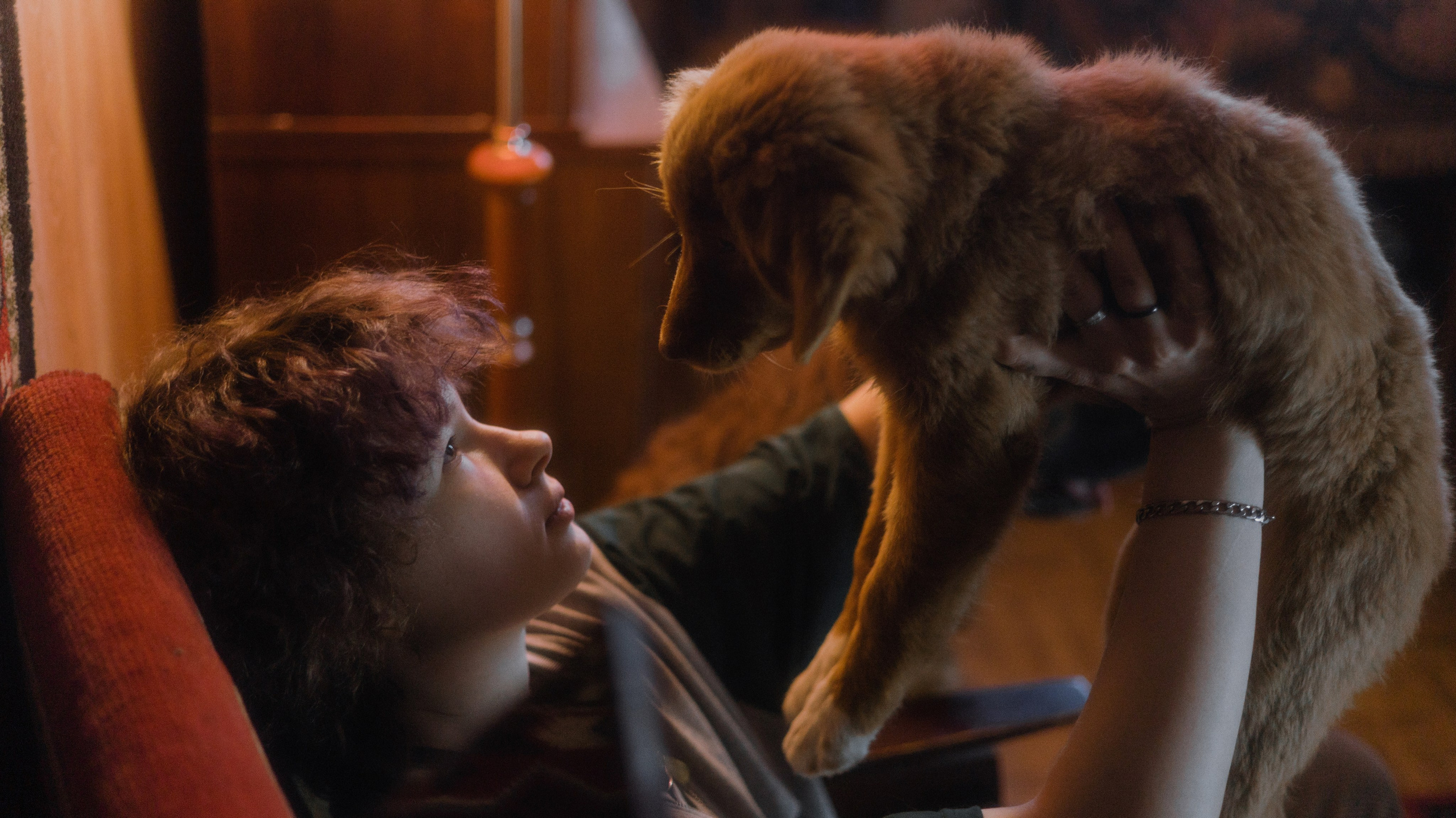 Лера, Реджи и Ральф. Фотограф-анималист Богданова Полина