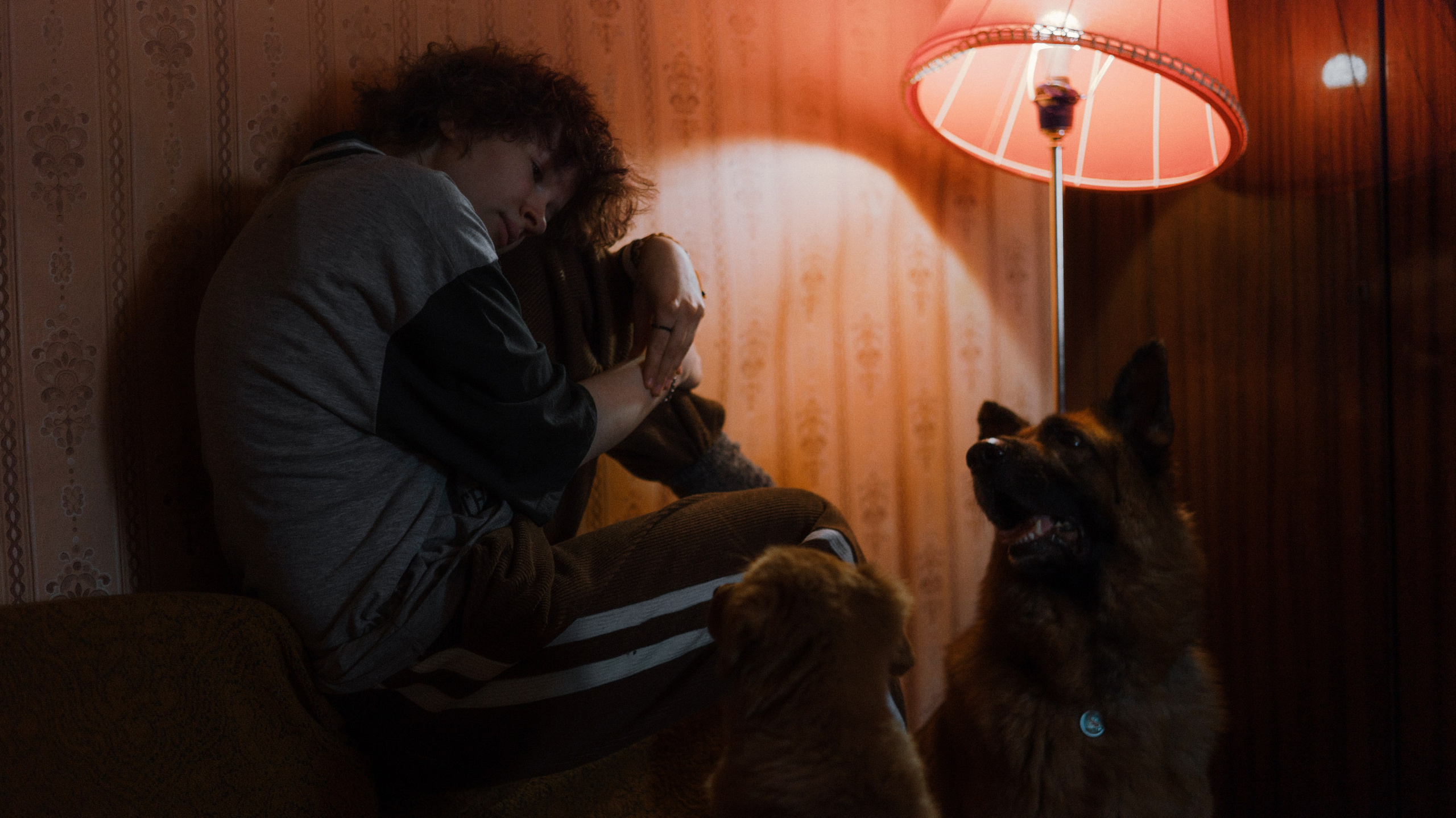 Лера, Реджи и Ральф. Фотограф-анималист Богданова Полина