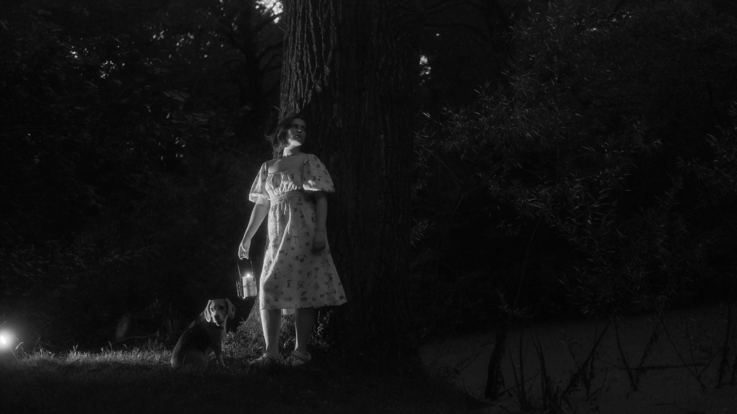 Лиза и Сара. Фотограф-анималист Богданова Полина