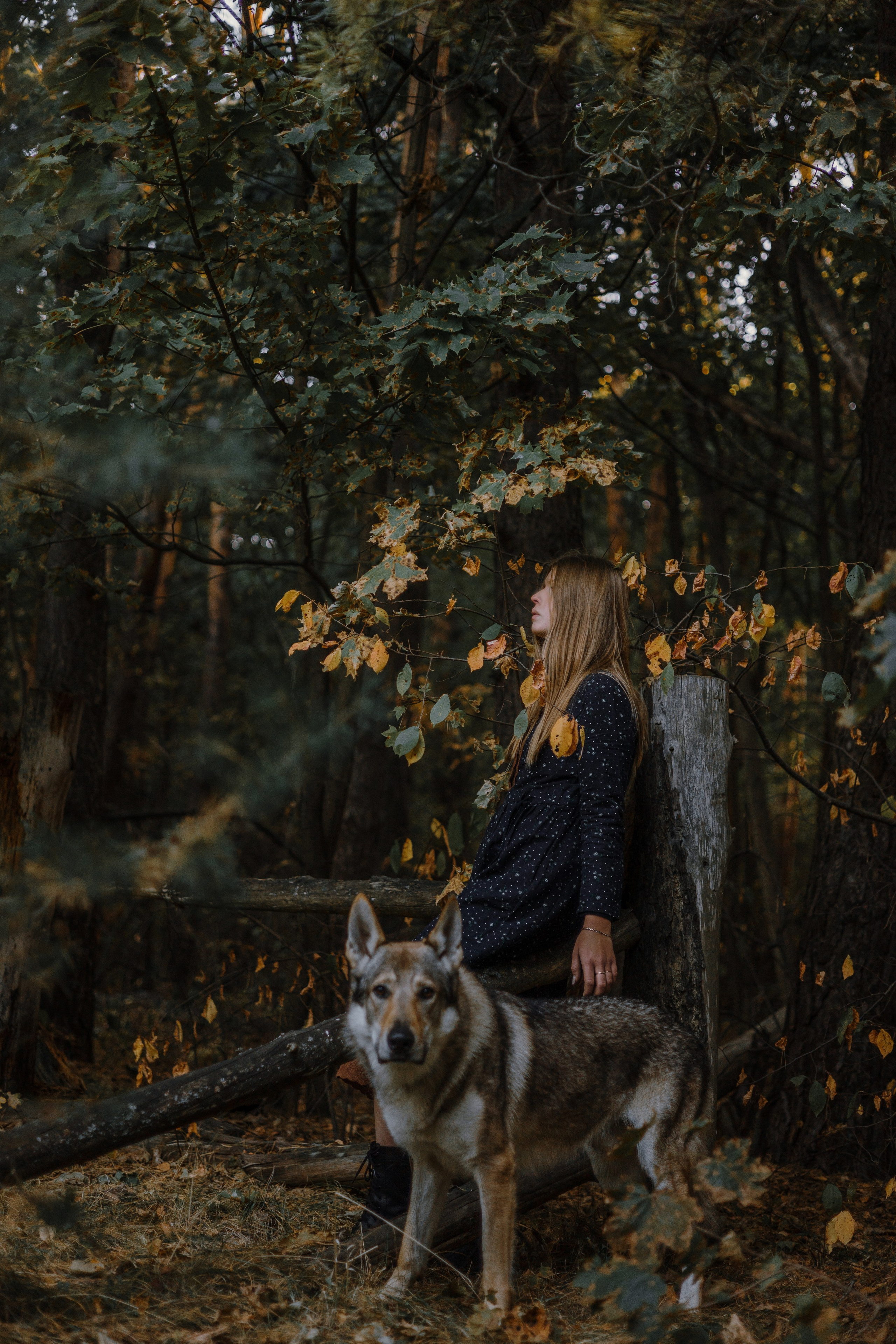 Полина и Вегард. Фотограф-анималист Богданова Полина