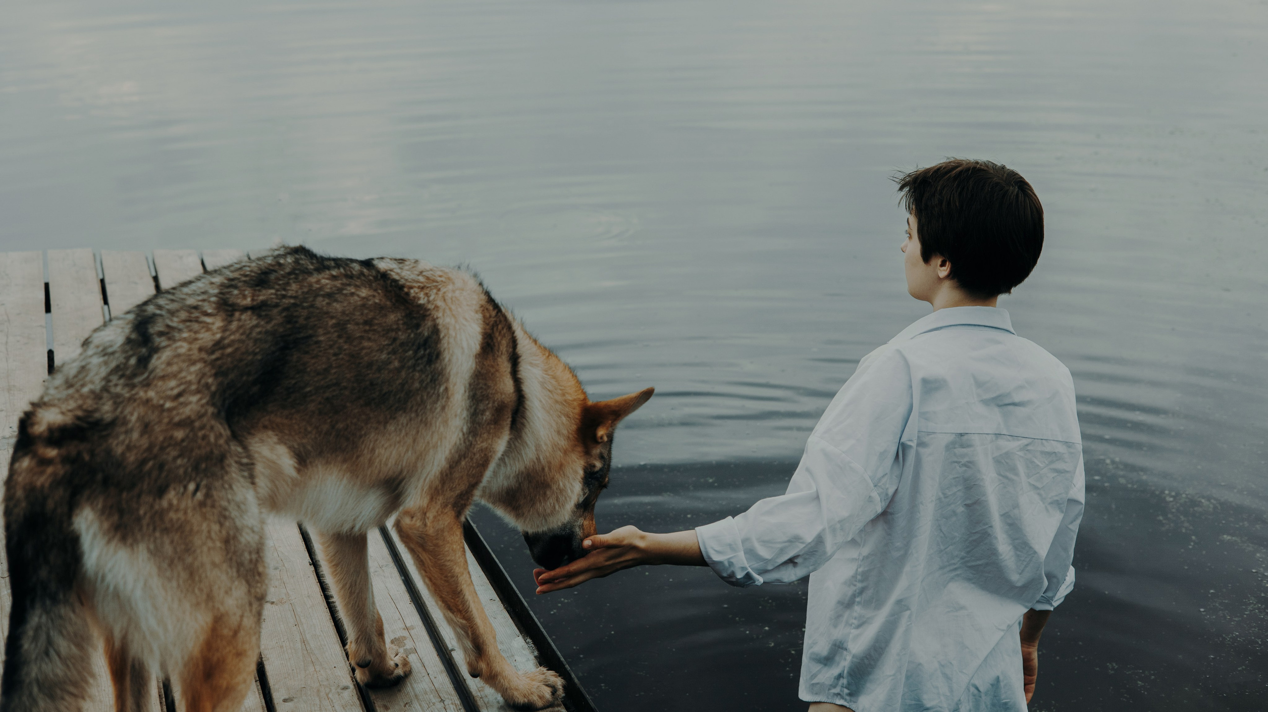 Маша и Дэрил. Фотограф-анималист Богданова Полина