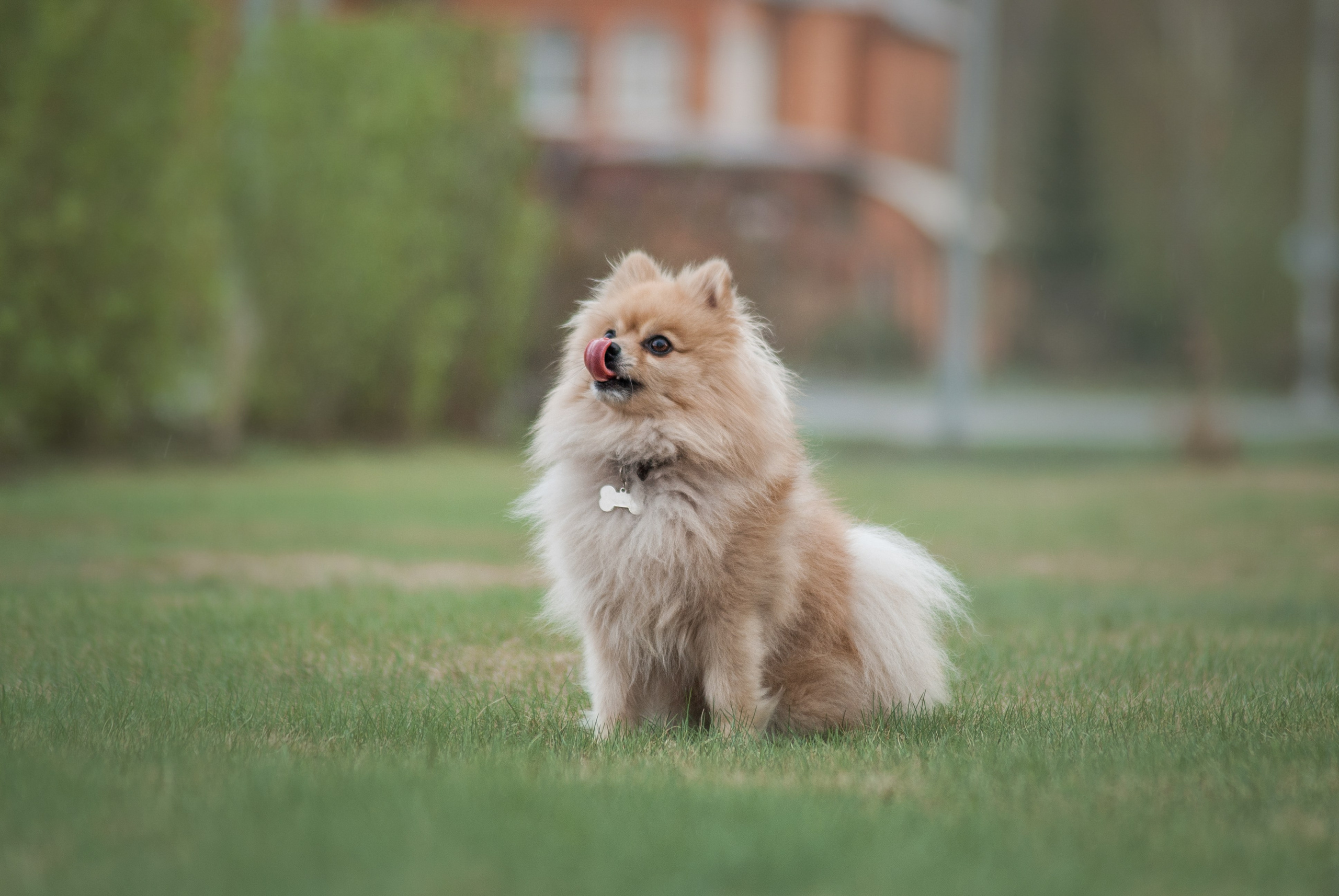 Цефей. Фотограф в Тюмени Лизавета Сапицкая