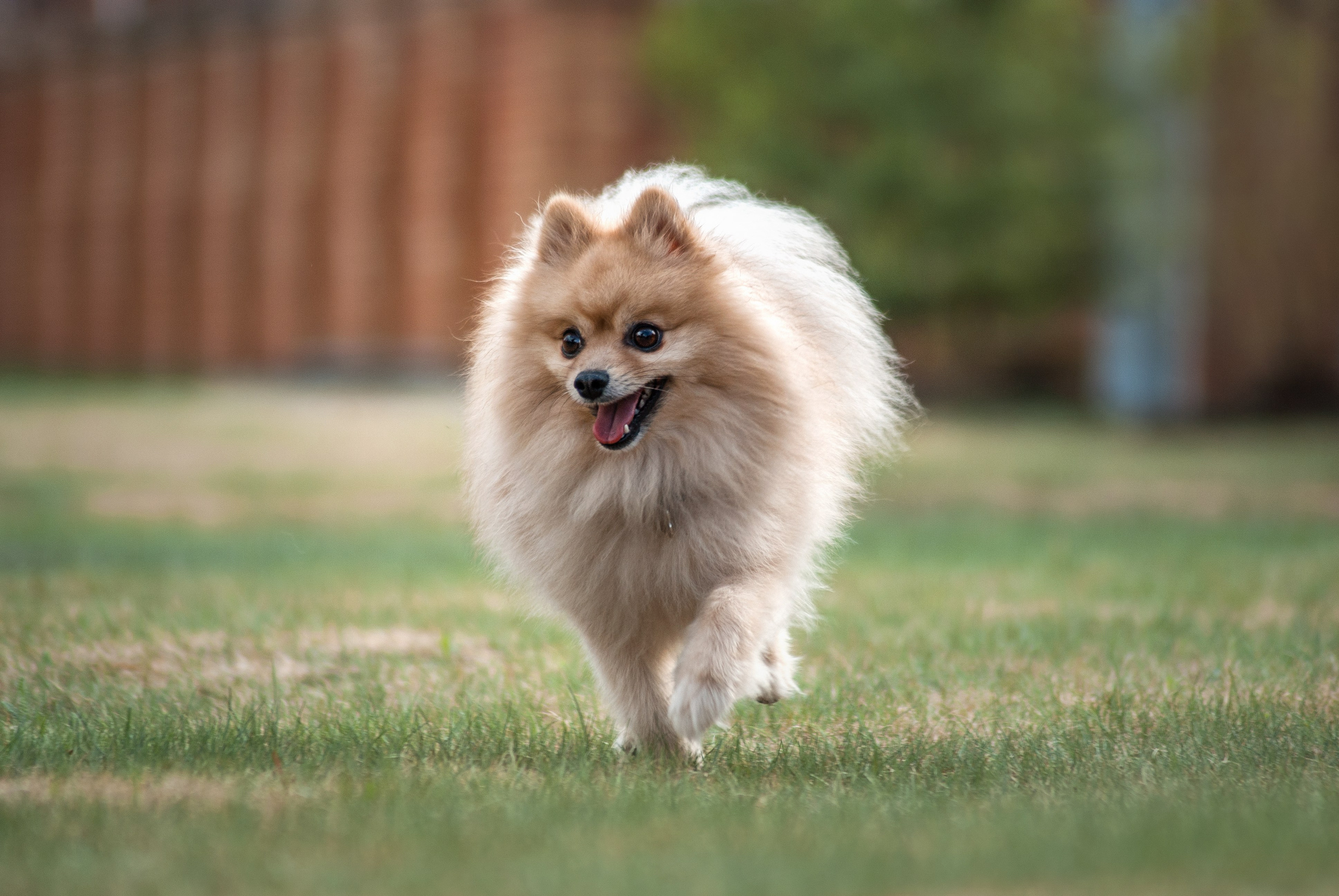 Цефей. Фотограф в Тюмени Лизавета Сапицкая