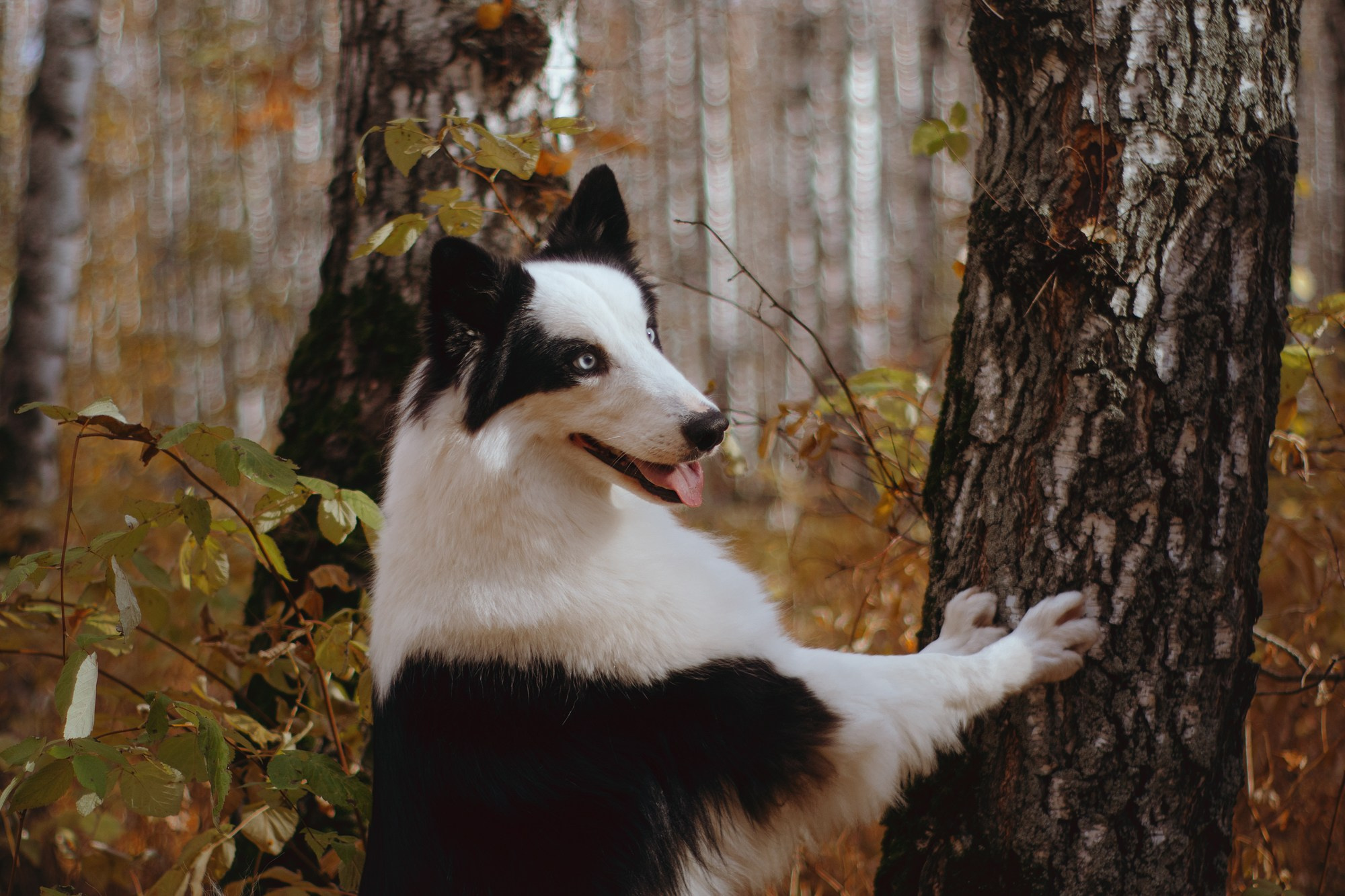 Ликёр. Фотограф в Тюмени Лизавета Сапицкая