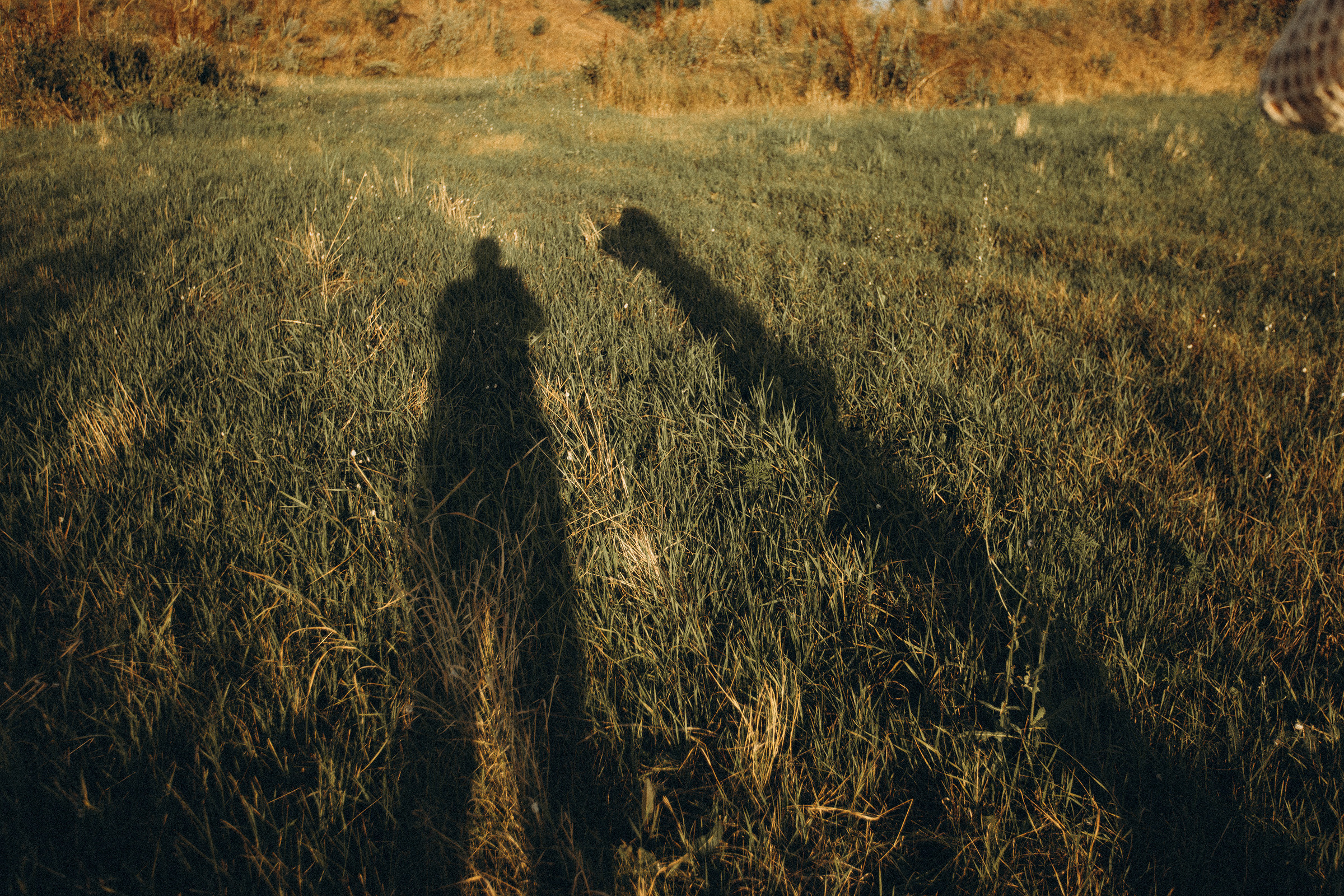 Маргарита. Алексеева Татьяна свадебный фотограф Краснодар, Краснодарский край