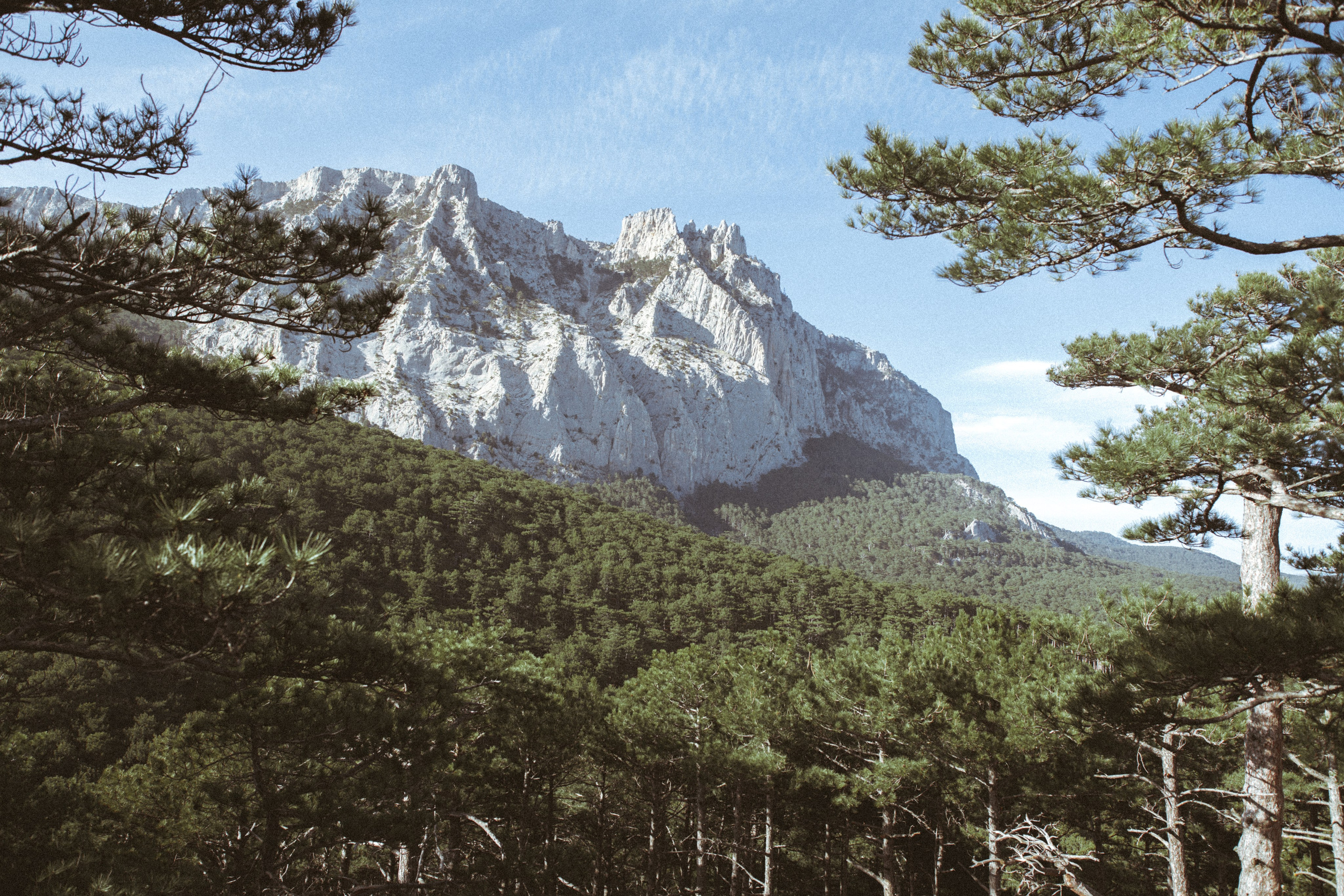Nature. Артем Корнев Фотограф