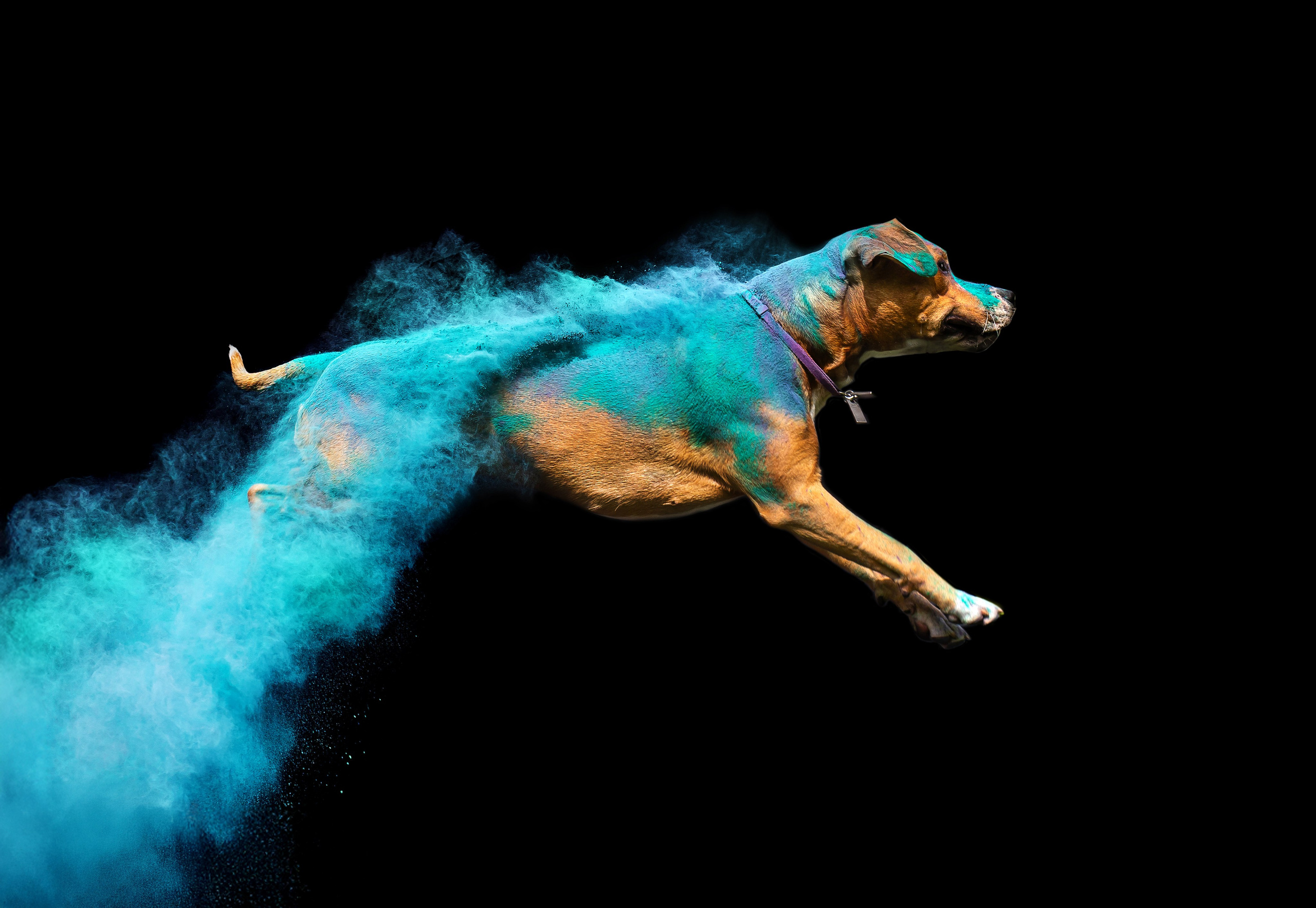 Батлер и Кэти