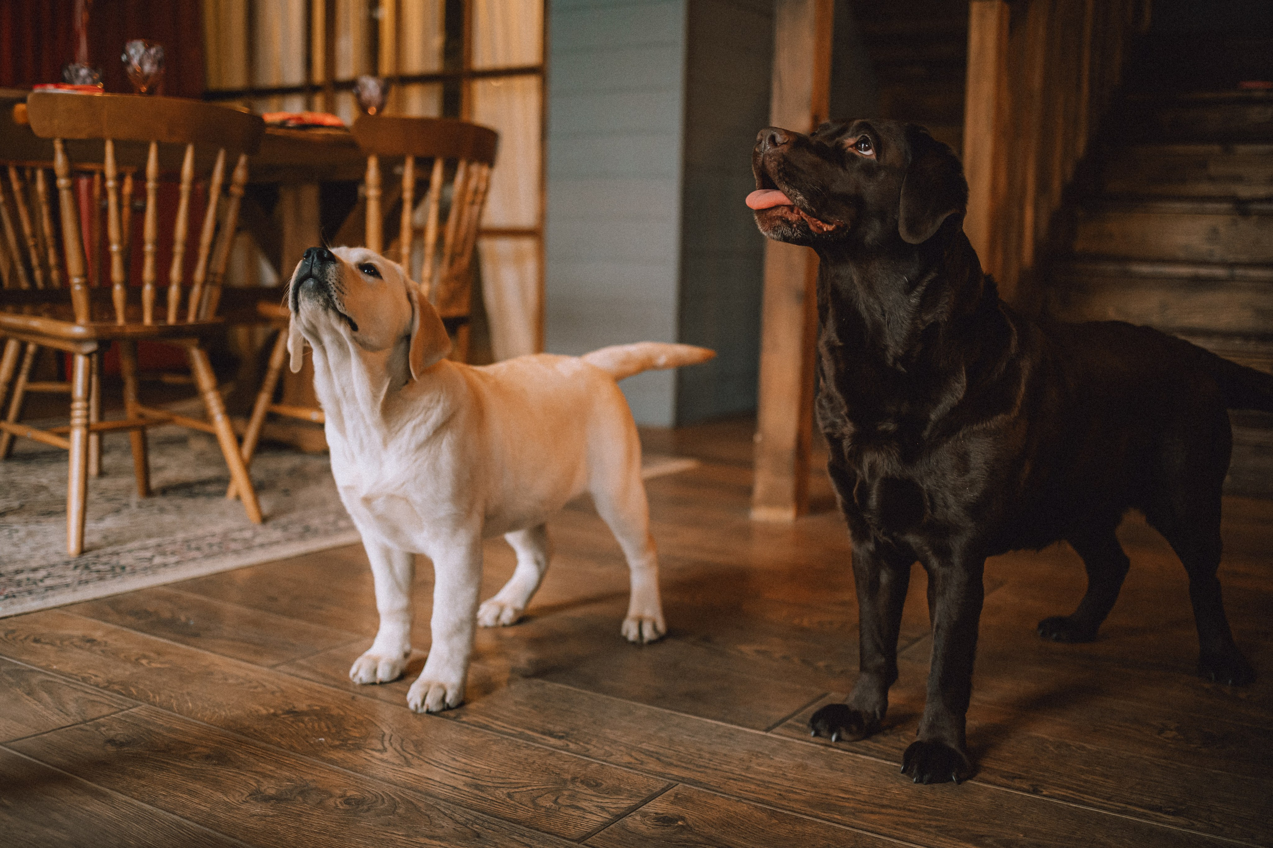 Ума, Берта и их семья