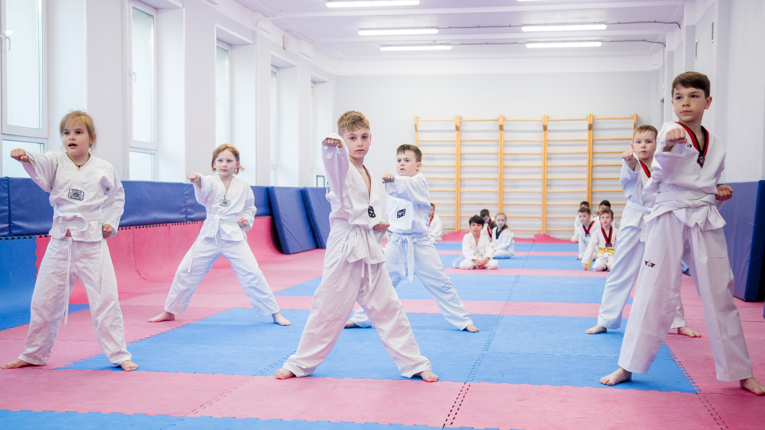 Желтый пояс по тхеквандо. Репортажный фотограф Борис Геер