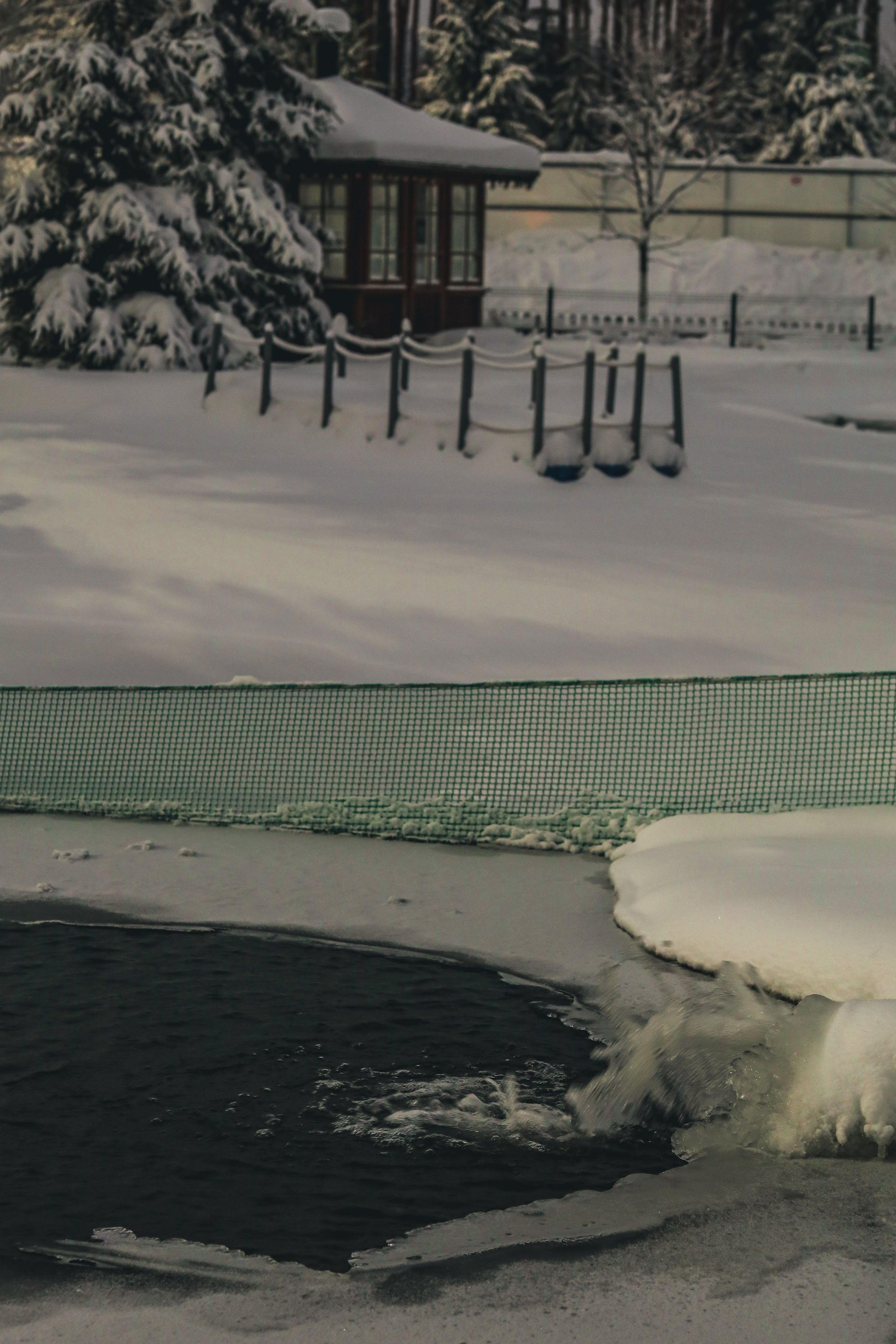 Природа &. Фотохудожник в СПб