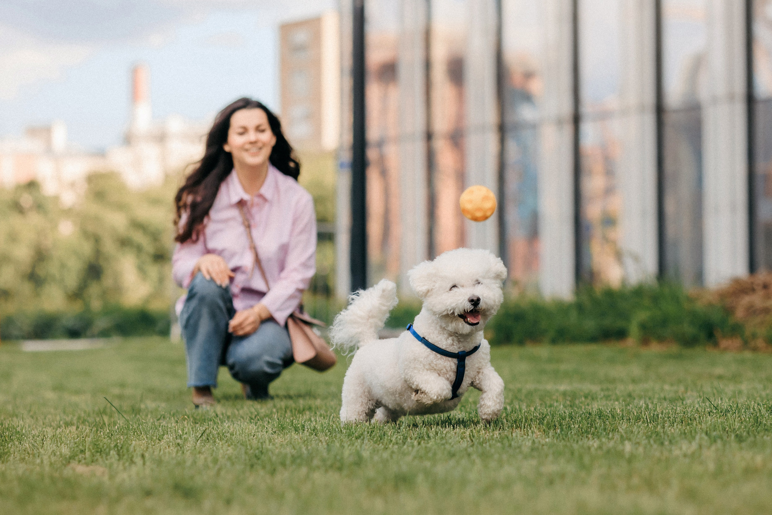 Марина, Данил и Бруно. Фотограф-анималист Елена Радченко, Москва