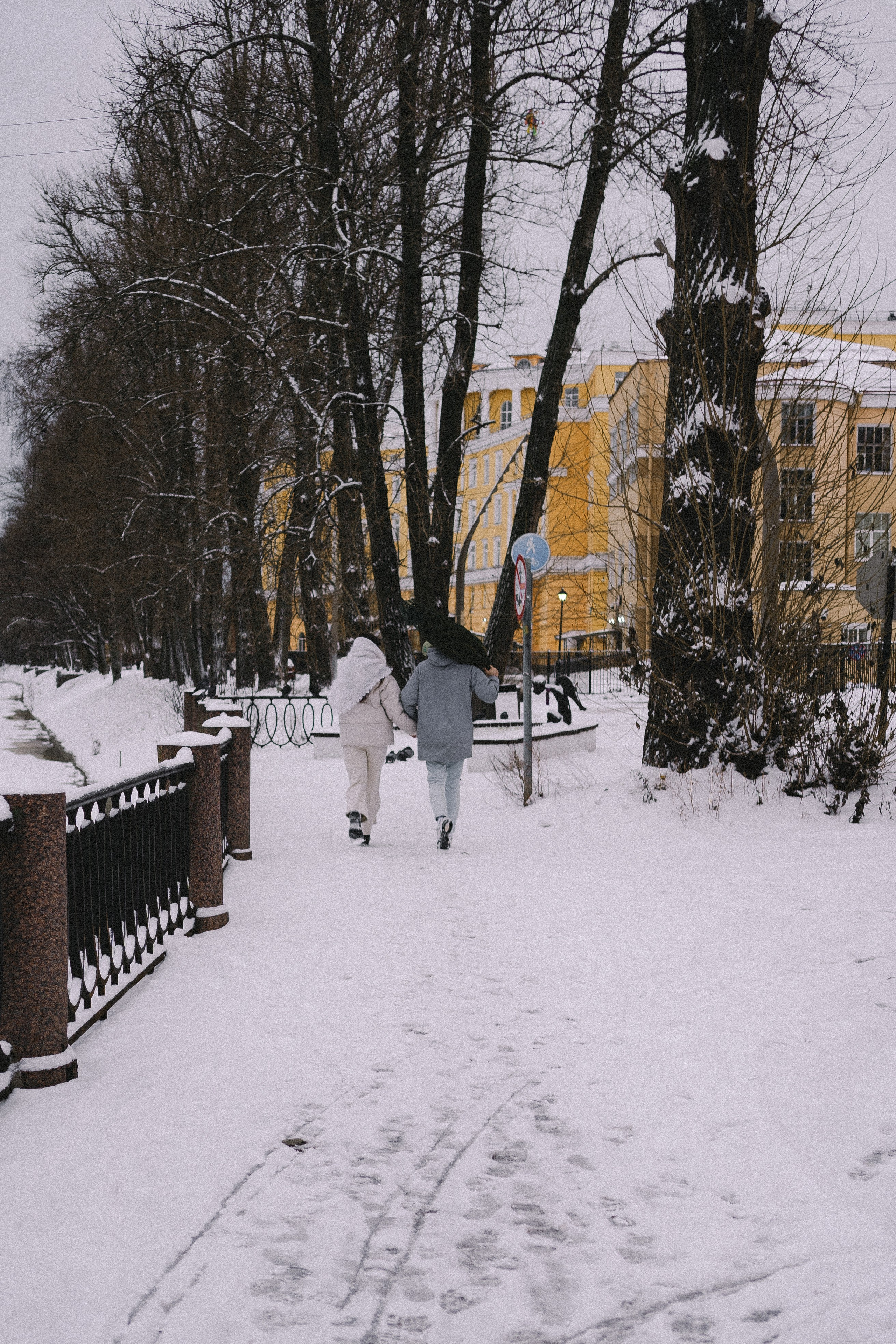 Зимняя история. Профессиональный фотограф, Санкт-Петербург — Виктория Богомолова
