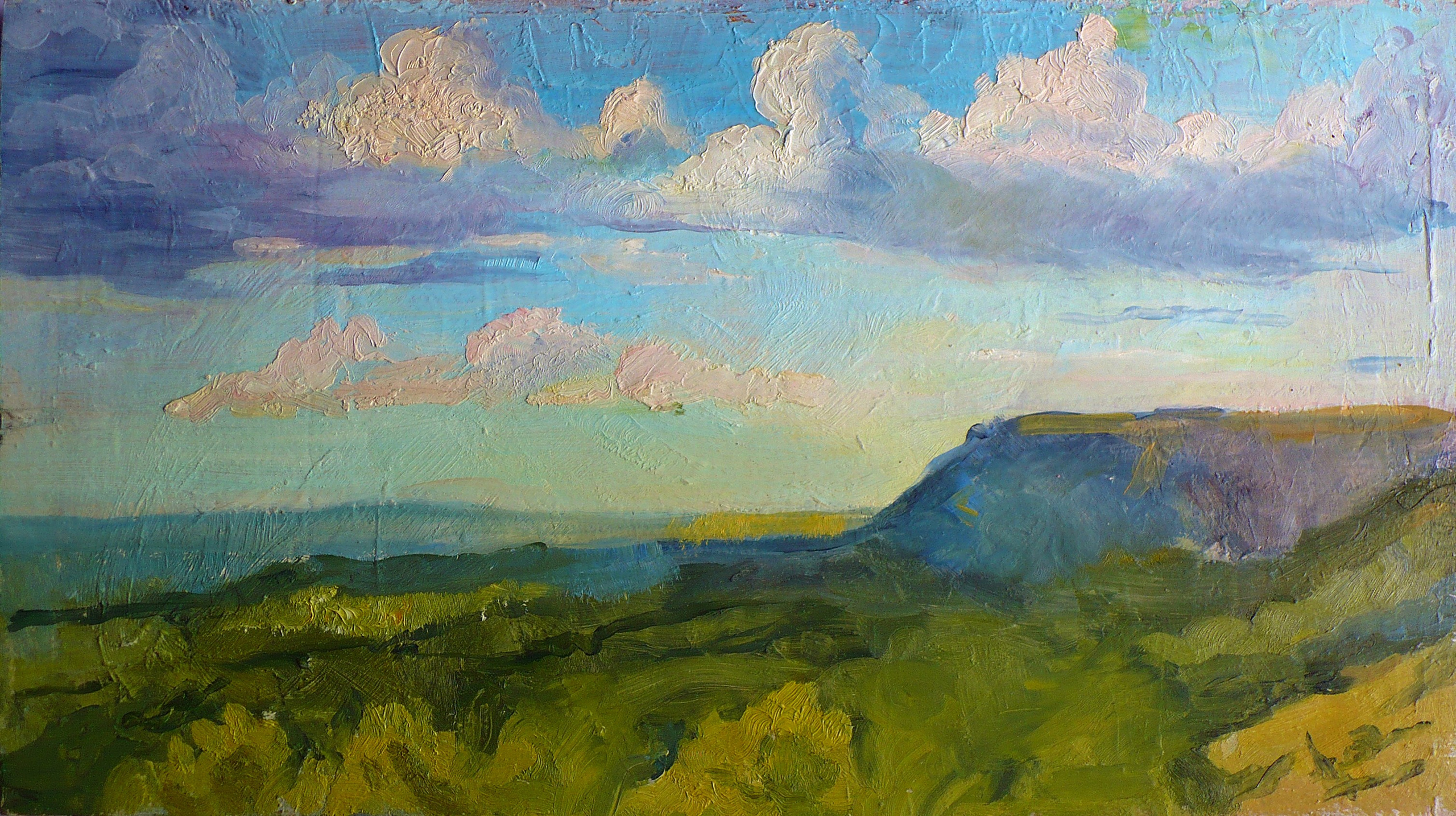 Картон, масло. 2005 год