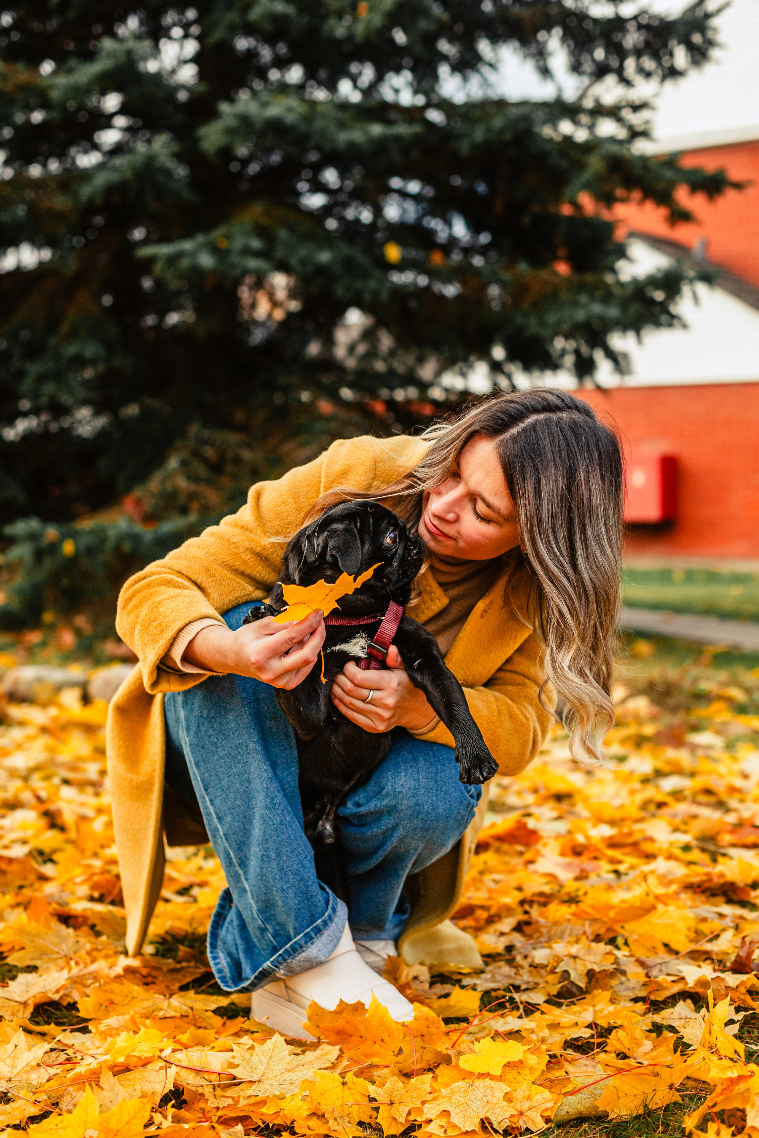 Оля, Харви, Луис. Фотограф-анималист Татьяна Степанова