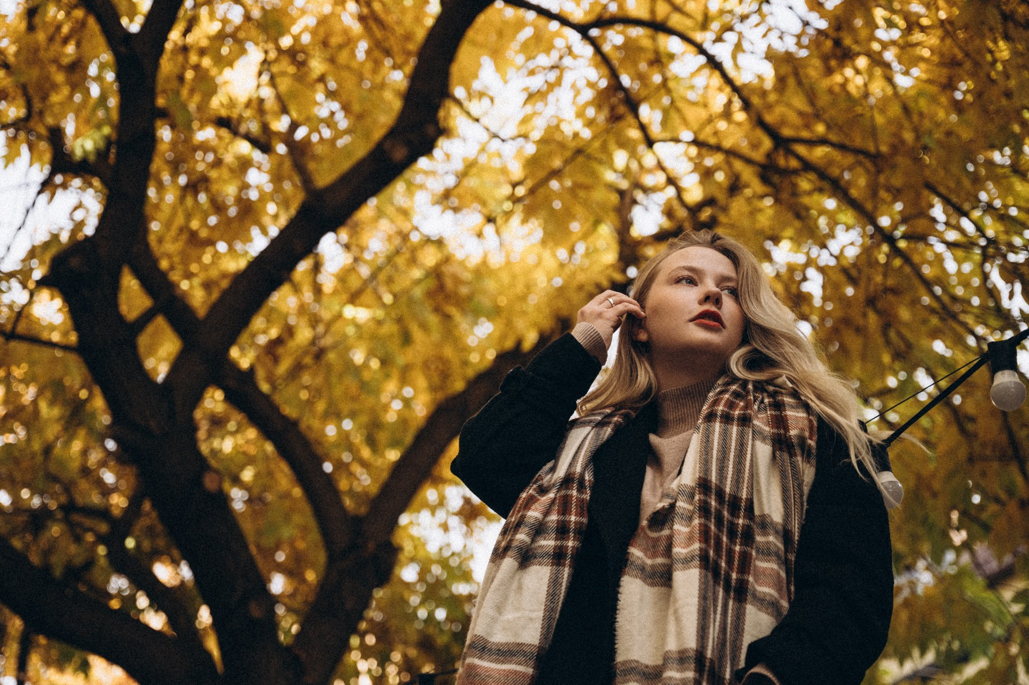 Такая шикарная осень в Ереване. Даша Яковенко Фотограф Спб