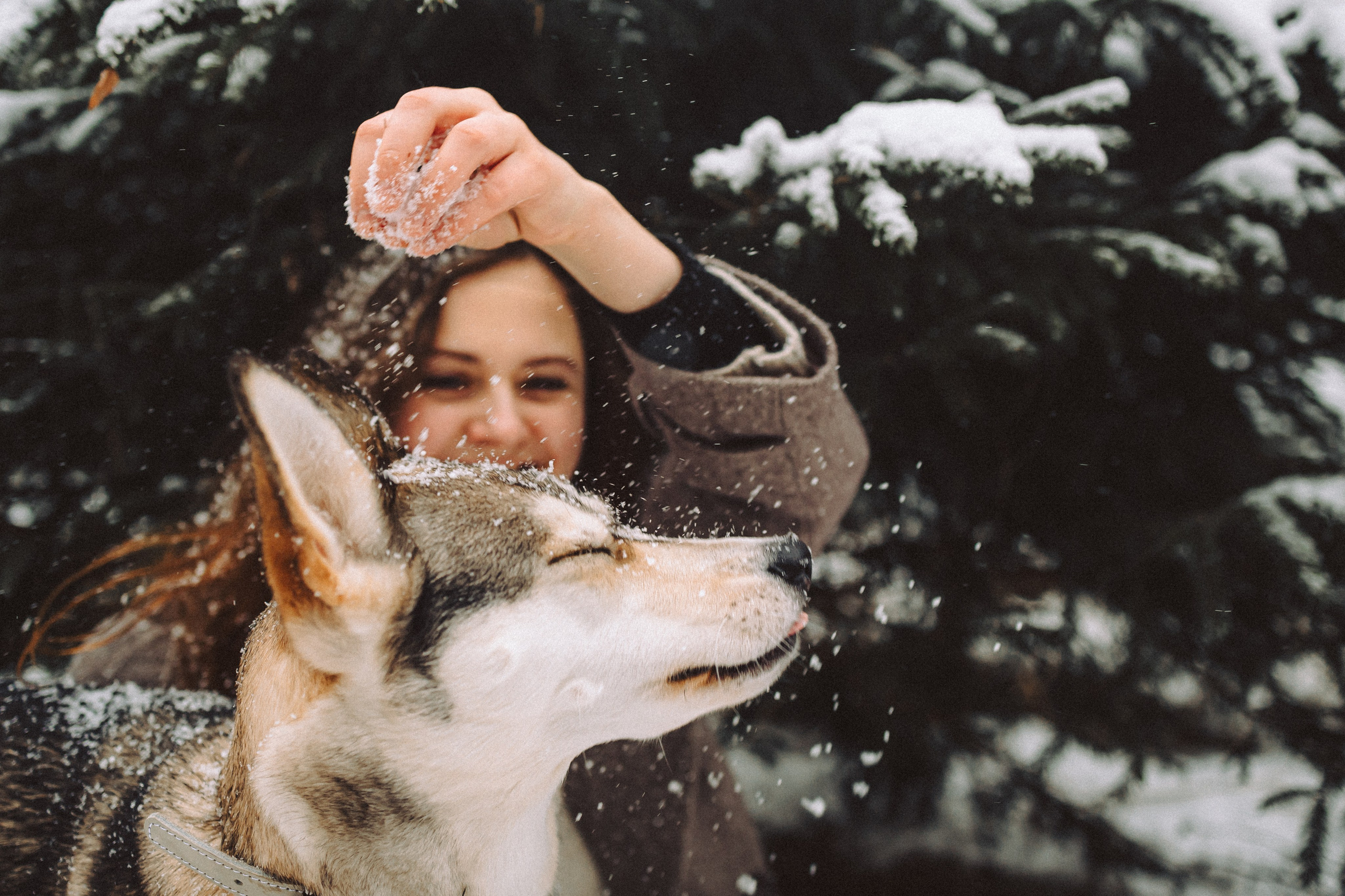 Аня и Рокси