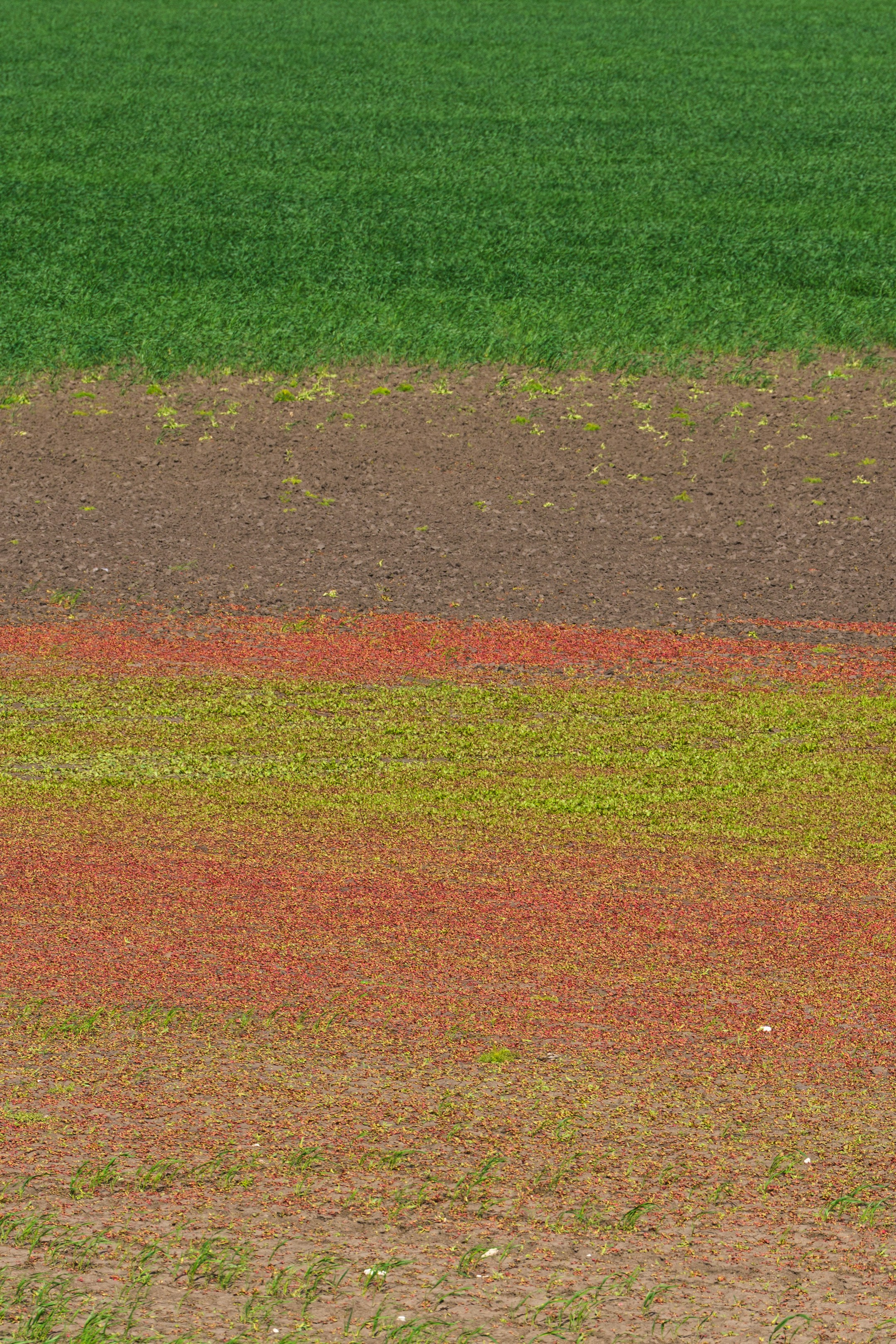 Фотографии России. Фотографии Дмитрия Захаренко