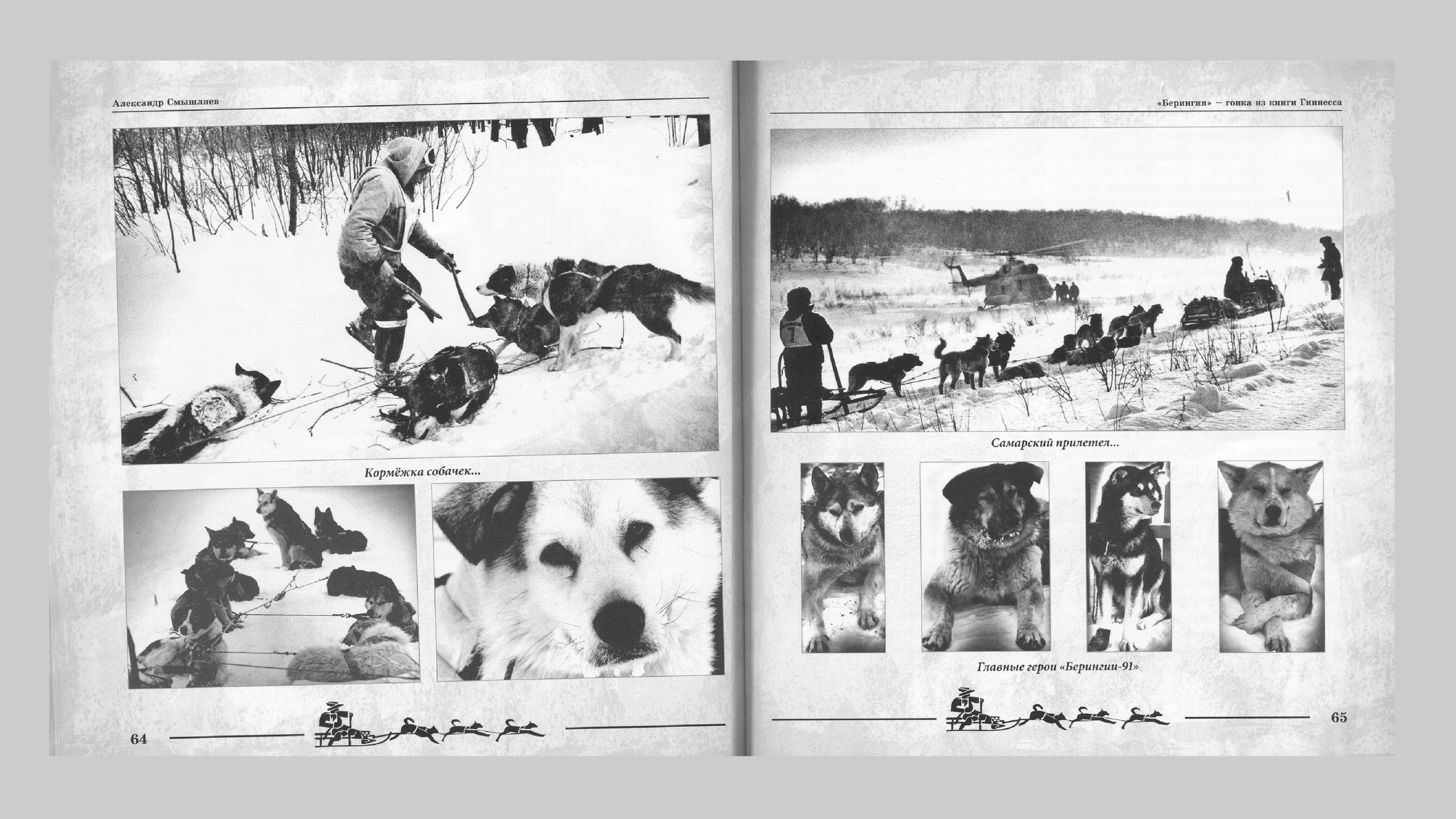 «Берингия», гонка из Книги Гиннесса. Александр Смышляев. История гонок на собачьих упряжках «Берингия»