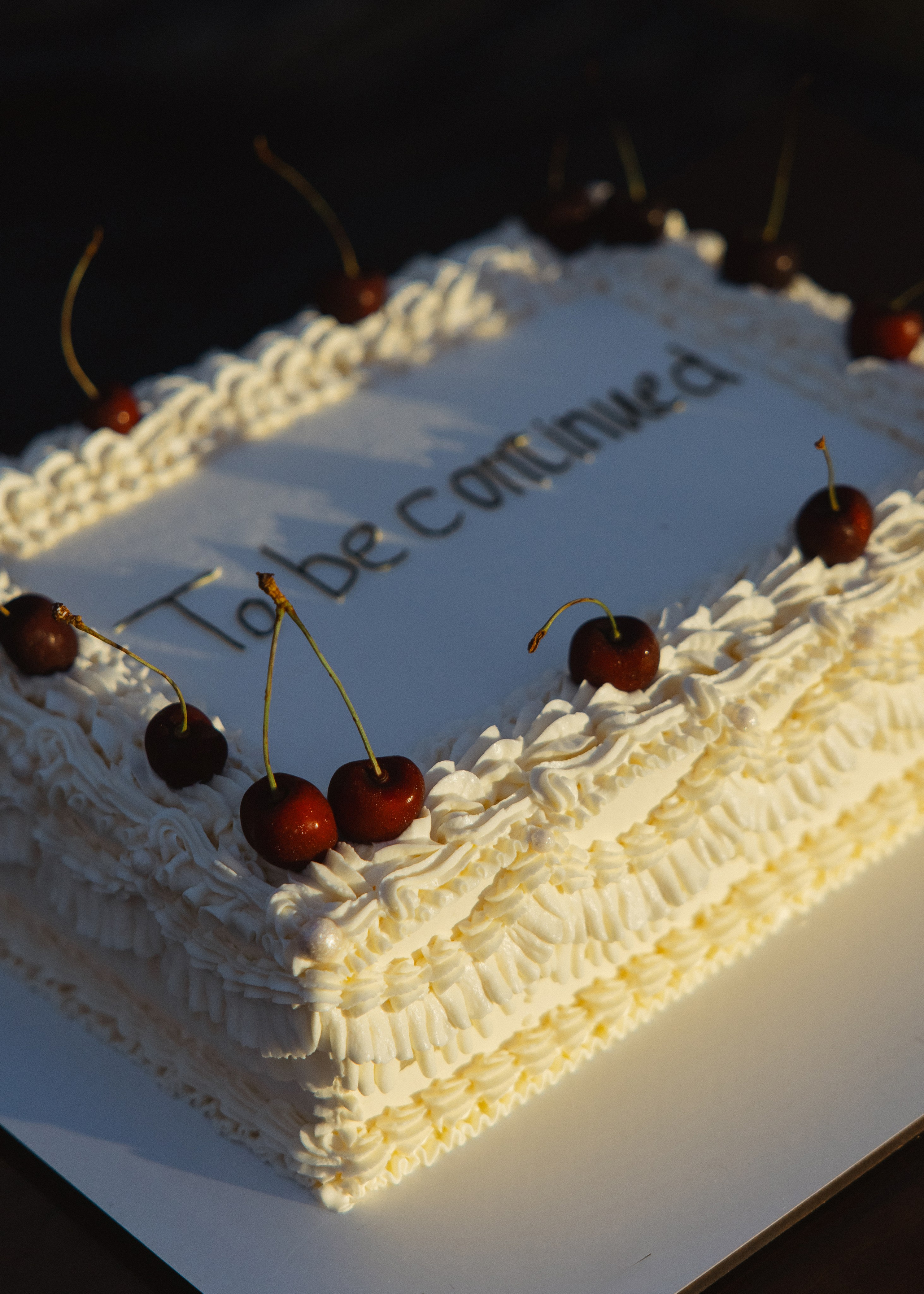 Artem & Anastasia • Castle Bip. Anna Fridenberg | wedding photographer