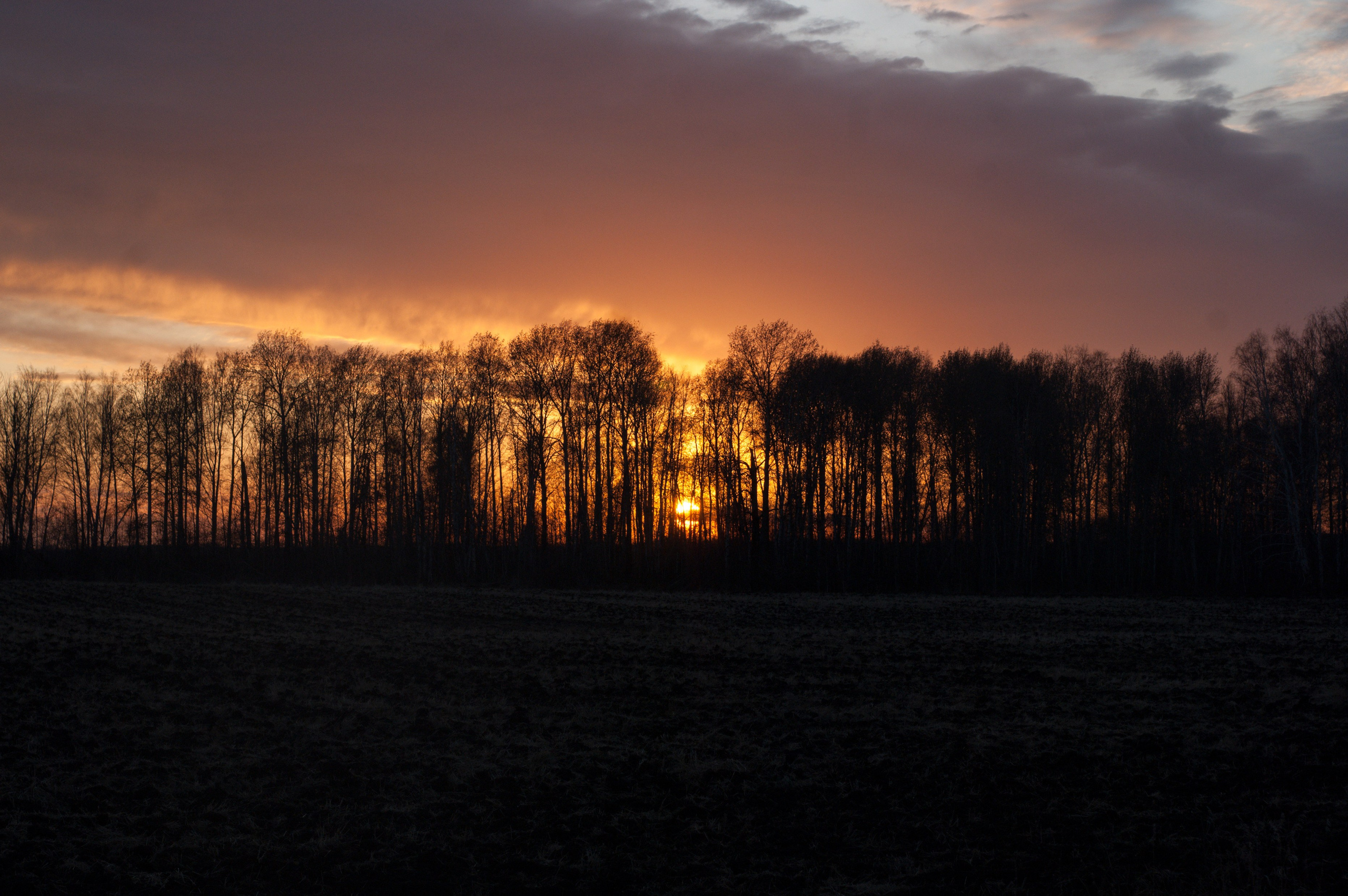 Этот прекрасный мир