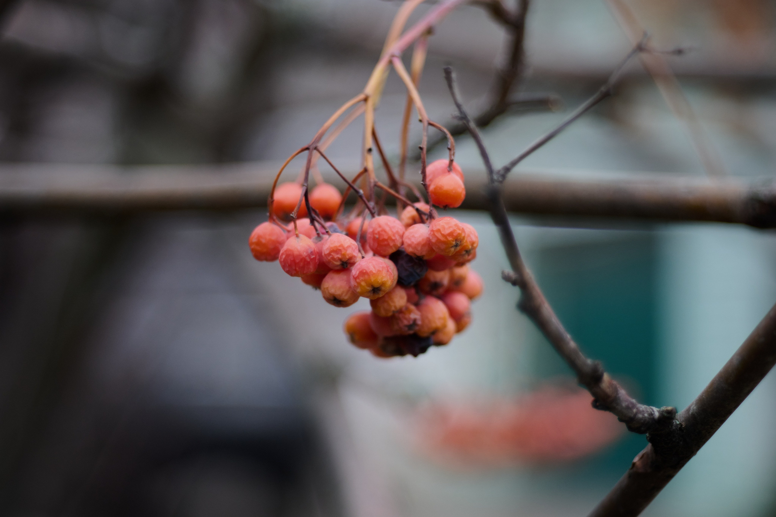 Лисичанск. Луганская область. Фотопроект «Территории»