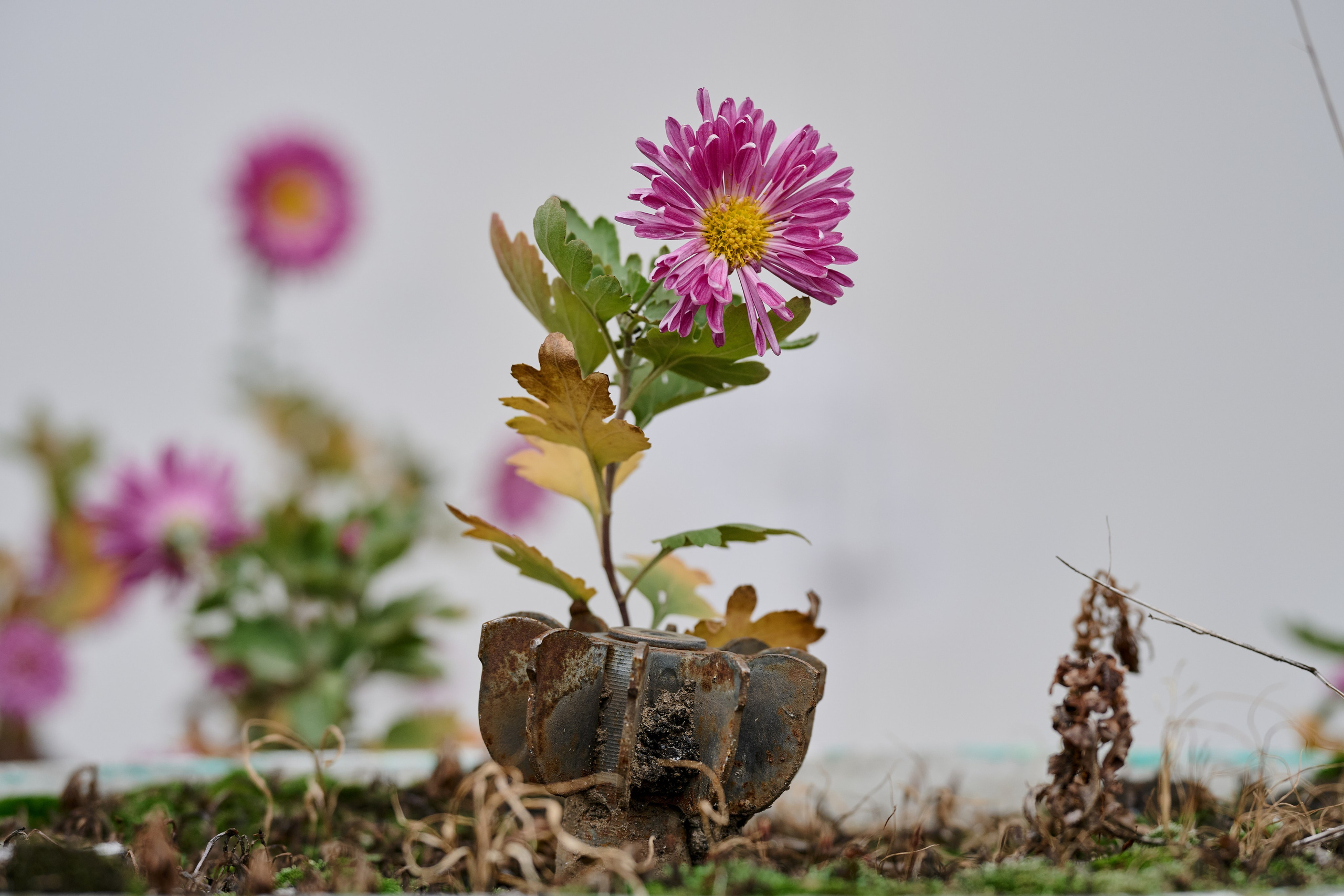 Рубежное. Луганская область. Фотопроект «Территории»