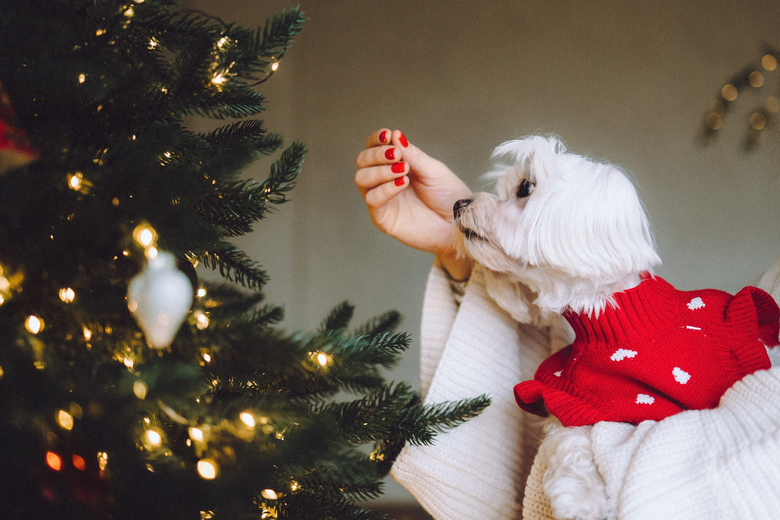 Констанция и Молли