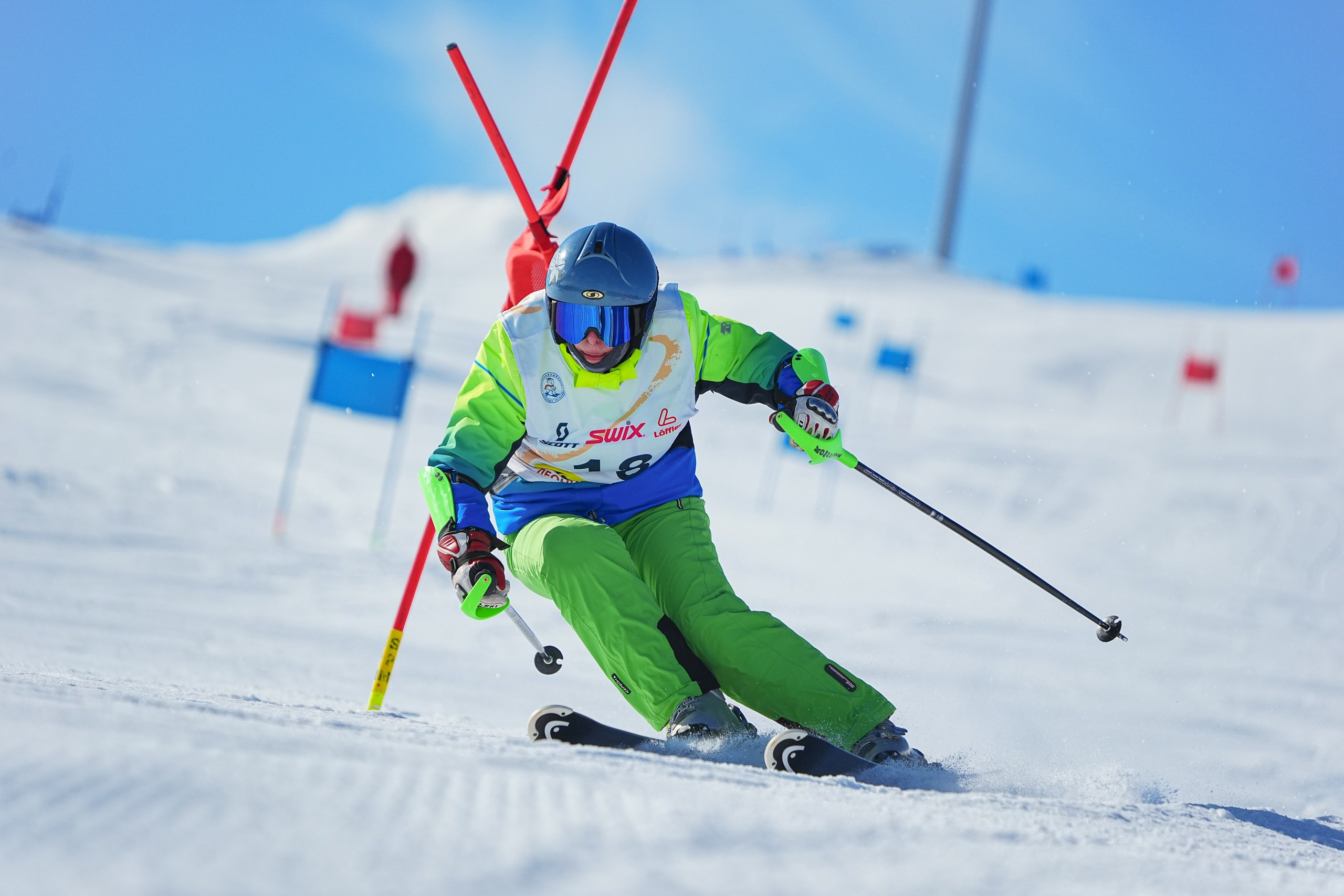 GS (Giant Slalom) - Слалом-гигант. Соревнования по горнолыжному спорту. Московская область, Шуколово