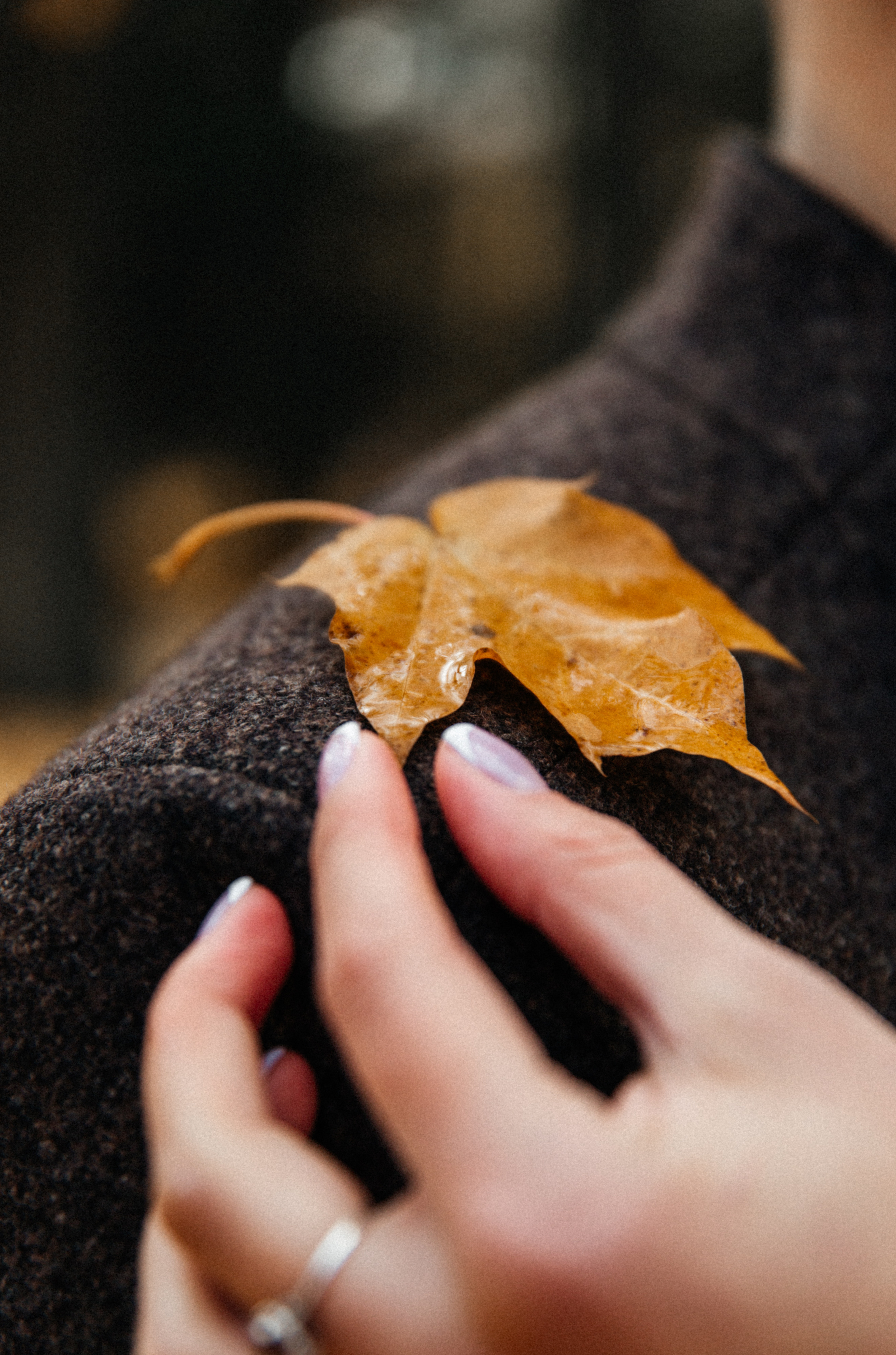 Свадебные. Свадебный и семейный фотограф в Несвиже Ксения Самойлик
