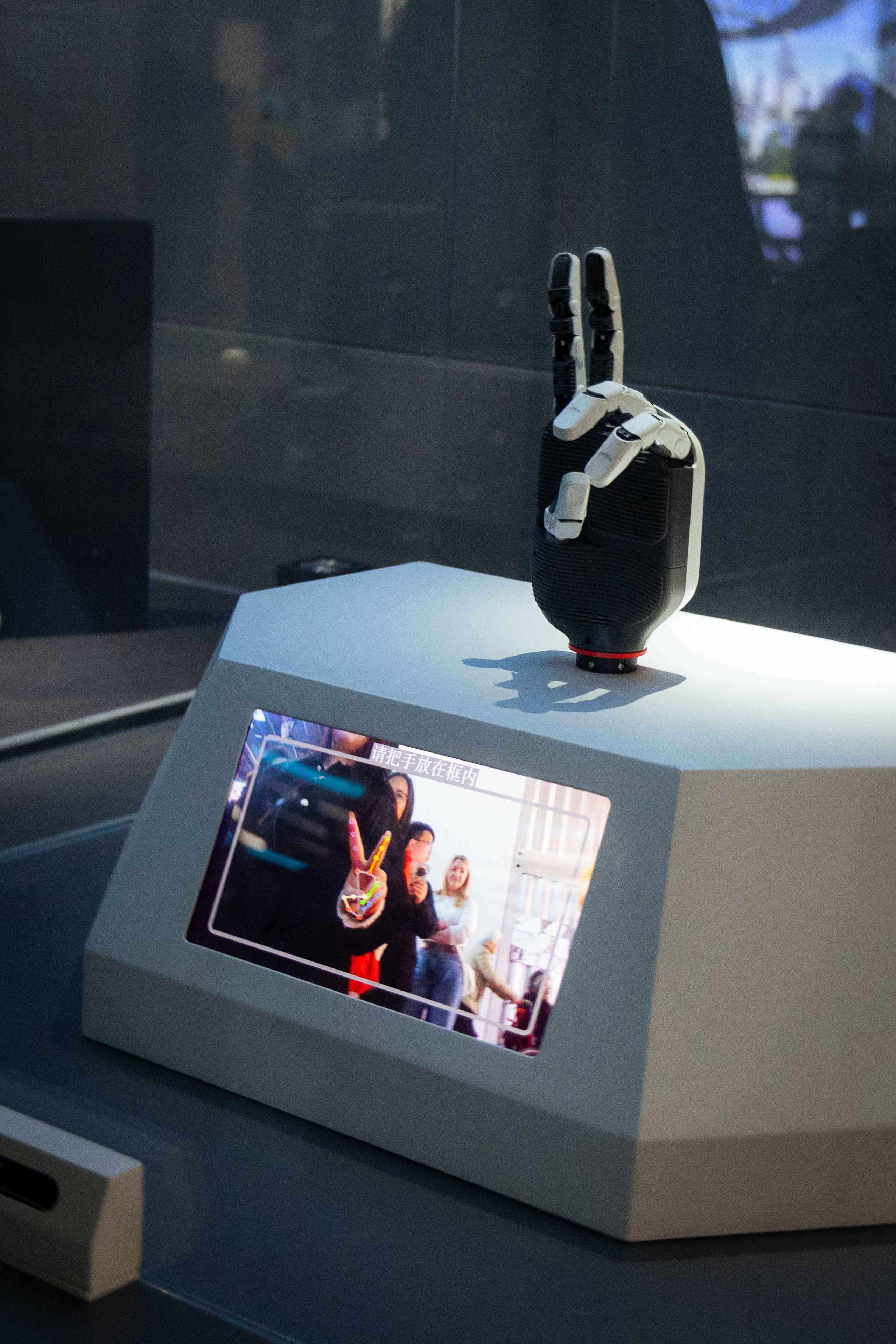 Шанхай (март 2026). Фотограф Виноградов Константин