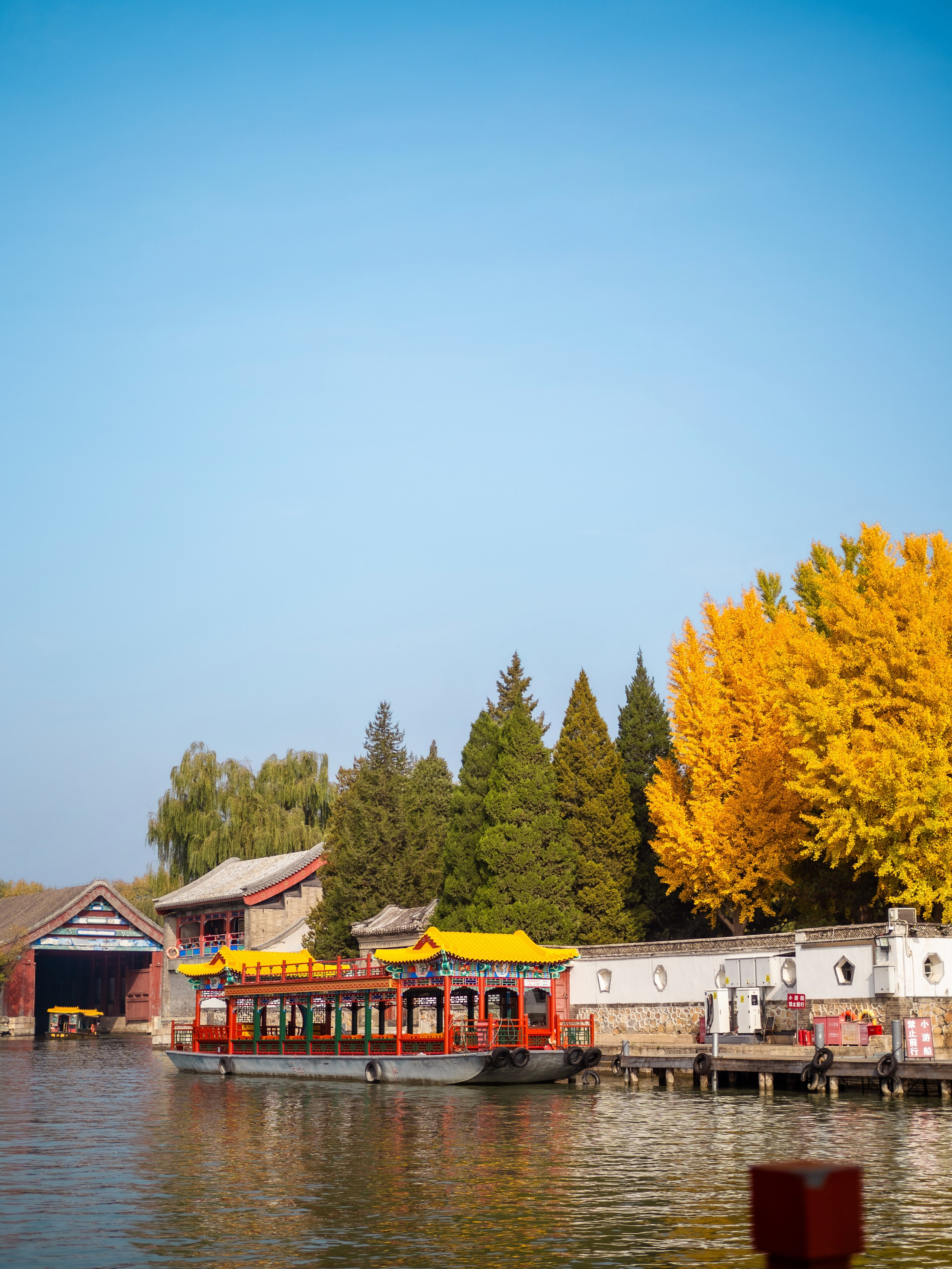 INTERNATIONAL PROFESSIONAL SKILLS INSTRUCTOR. CHINA 2024. Кулишова Катерина — твой фотограф