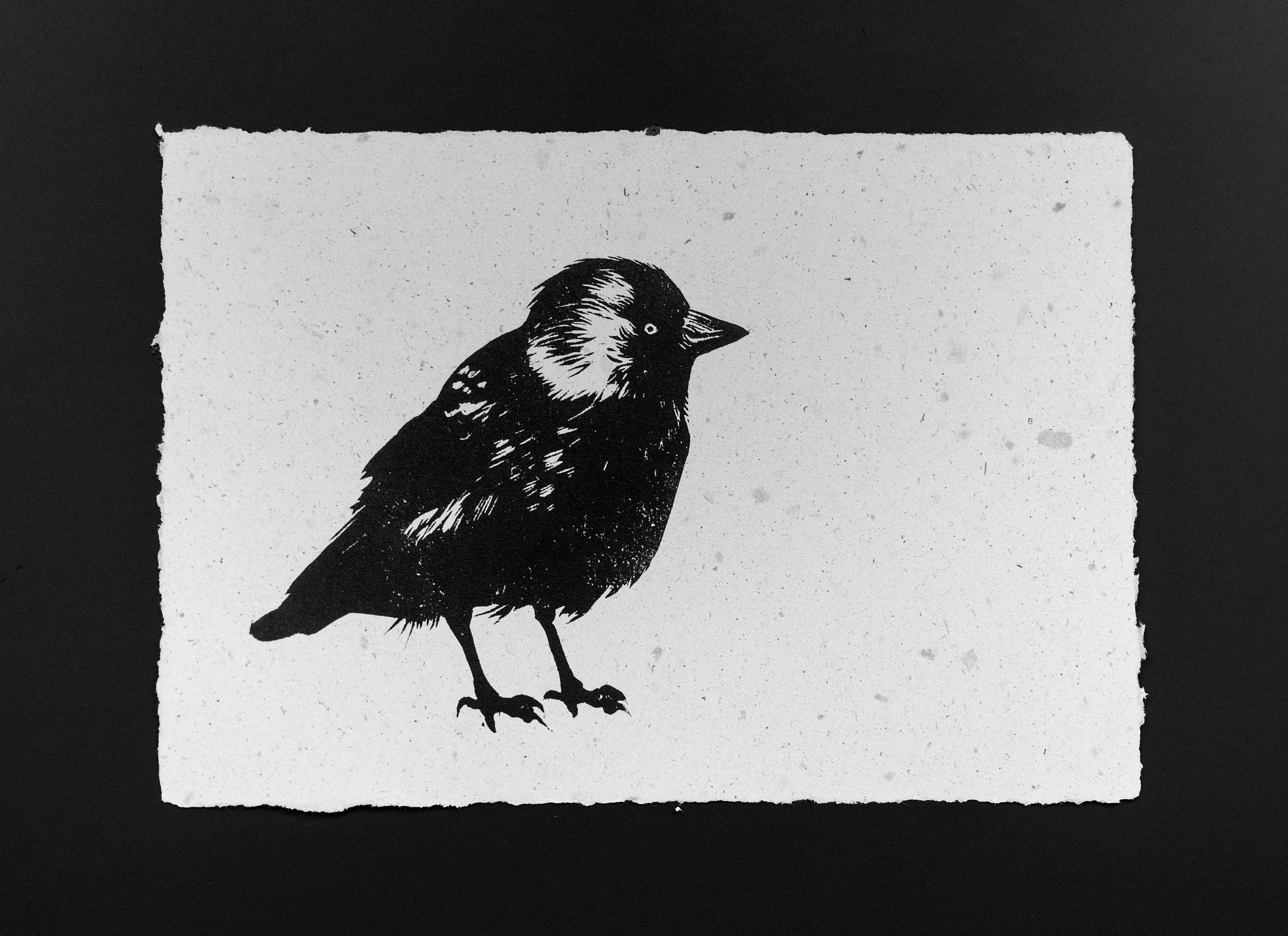 Гравюры. Фотография Стремского