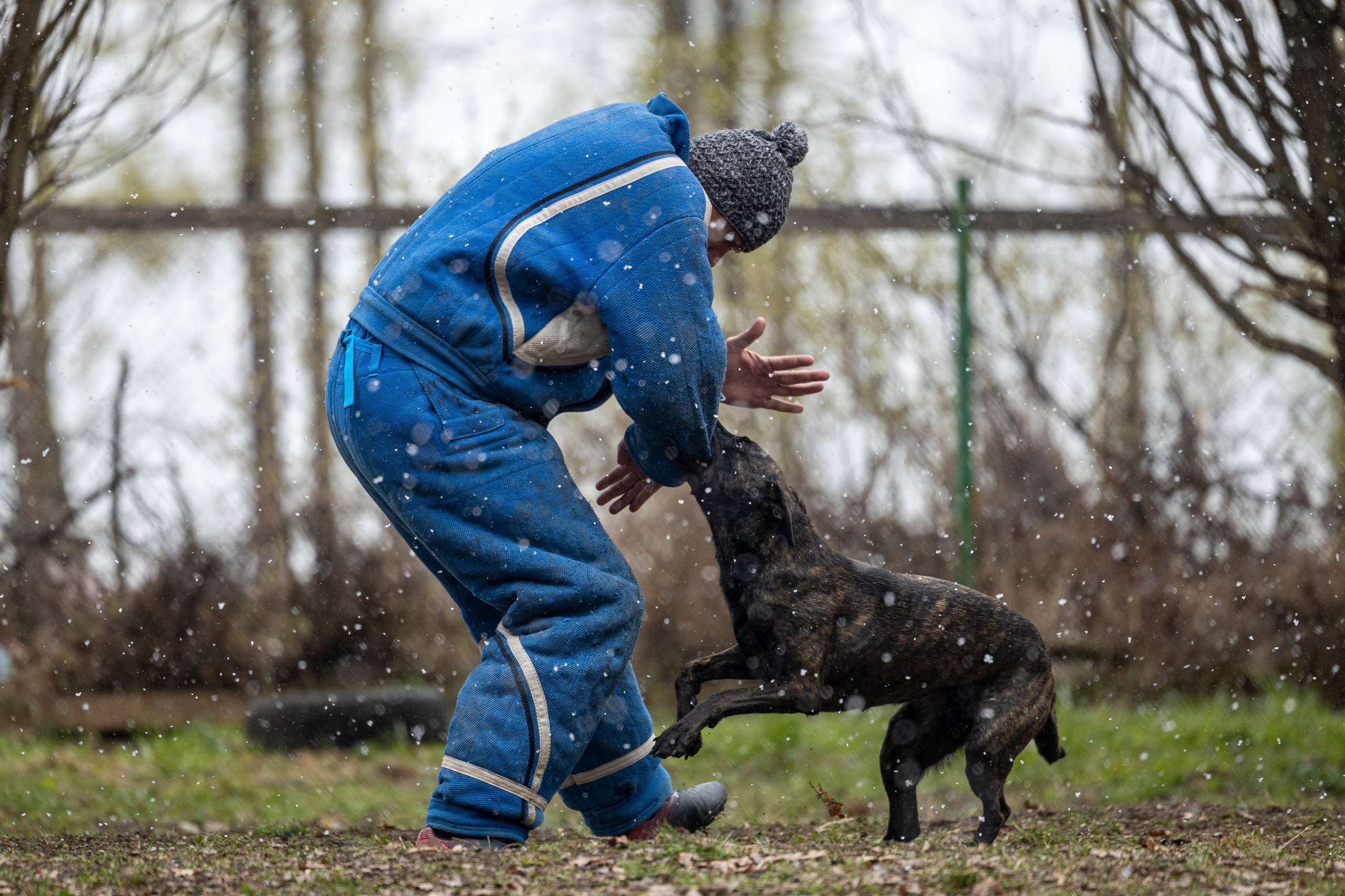 Квалификационные состязания по мондьорингу г. Вологда 11.05.24. Фотограф-анималист Анна Маринич