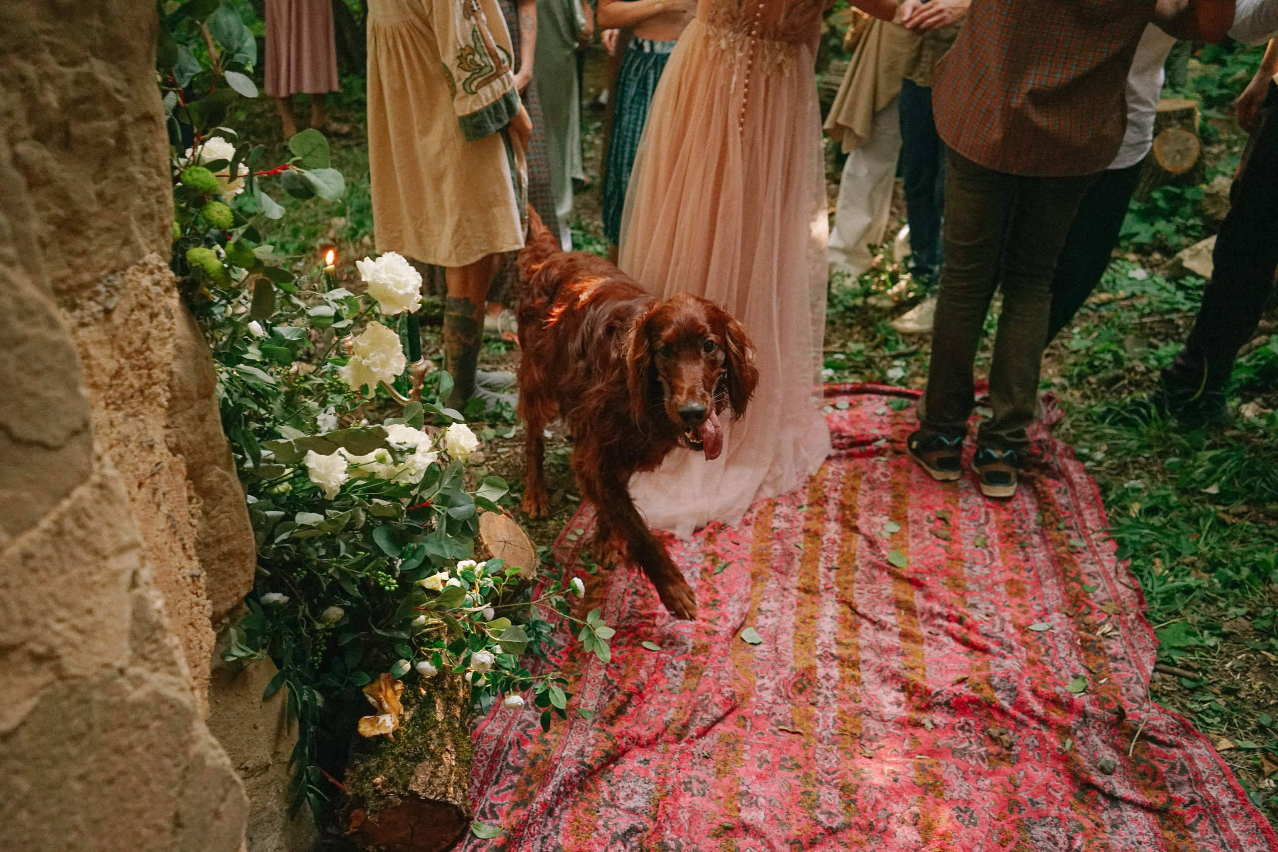 Свадебный фотограф в Грузии. Фотограф в Грузии ОАЭ | Nekit Fox