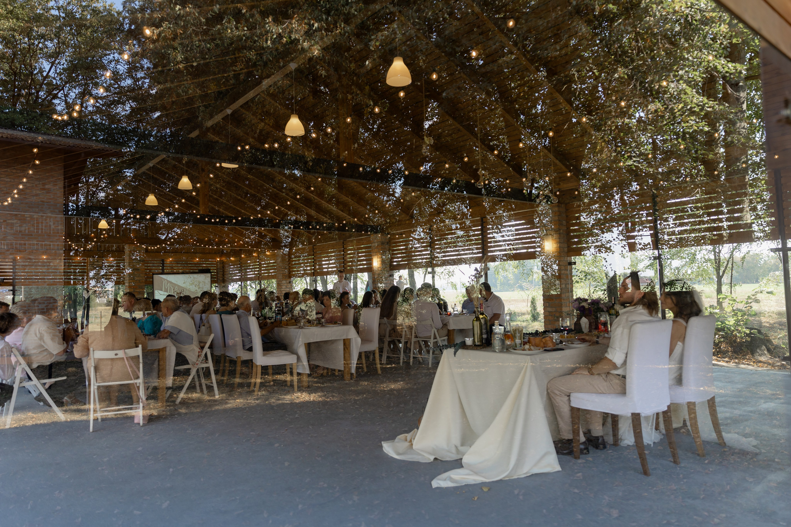 Виноградники. Dima Lemeshevsky