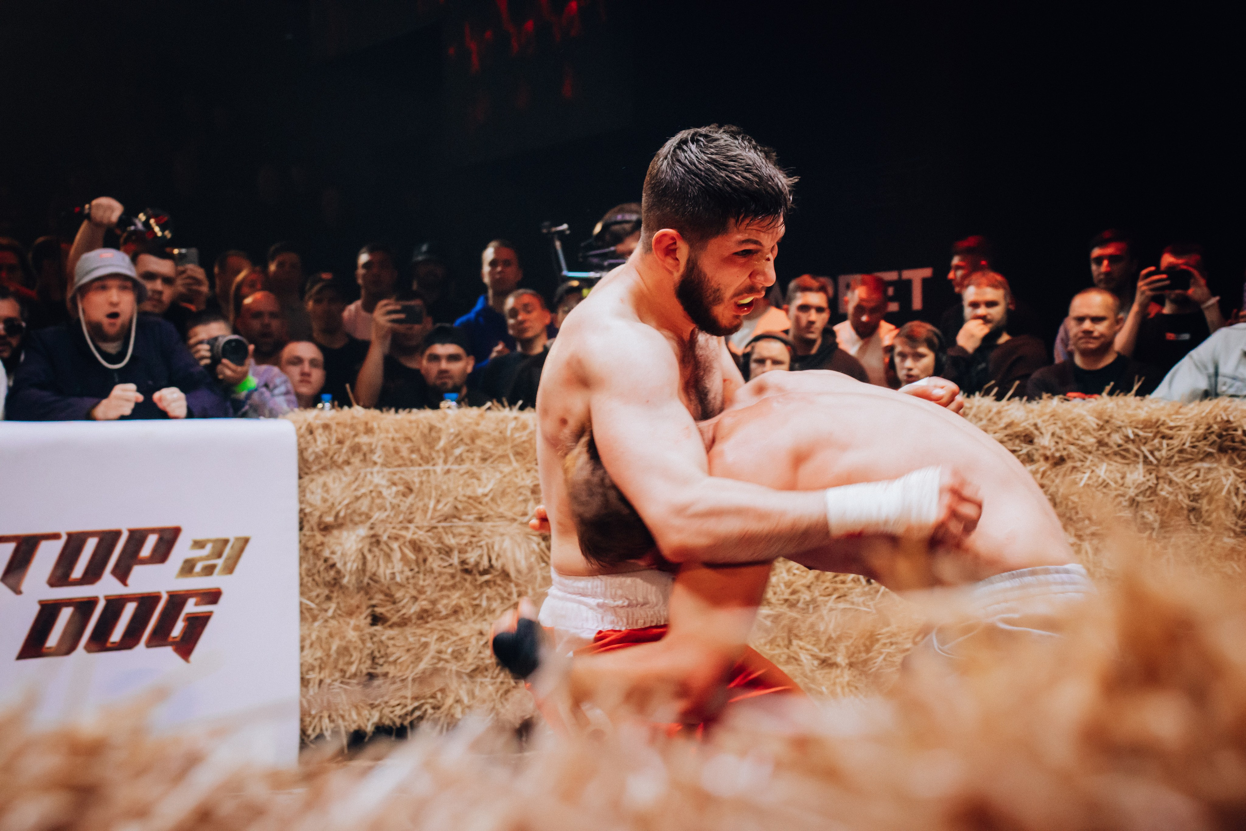 Кулачные бои TopDog. Анастасия Тен