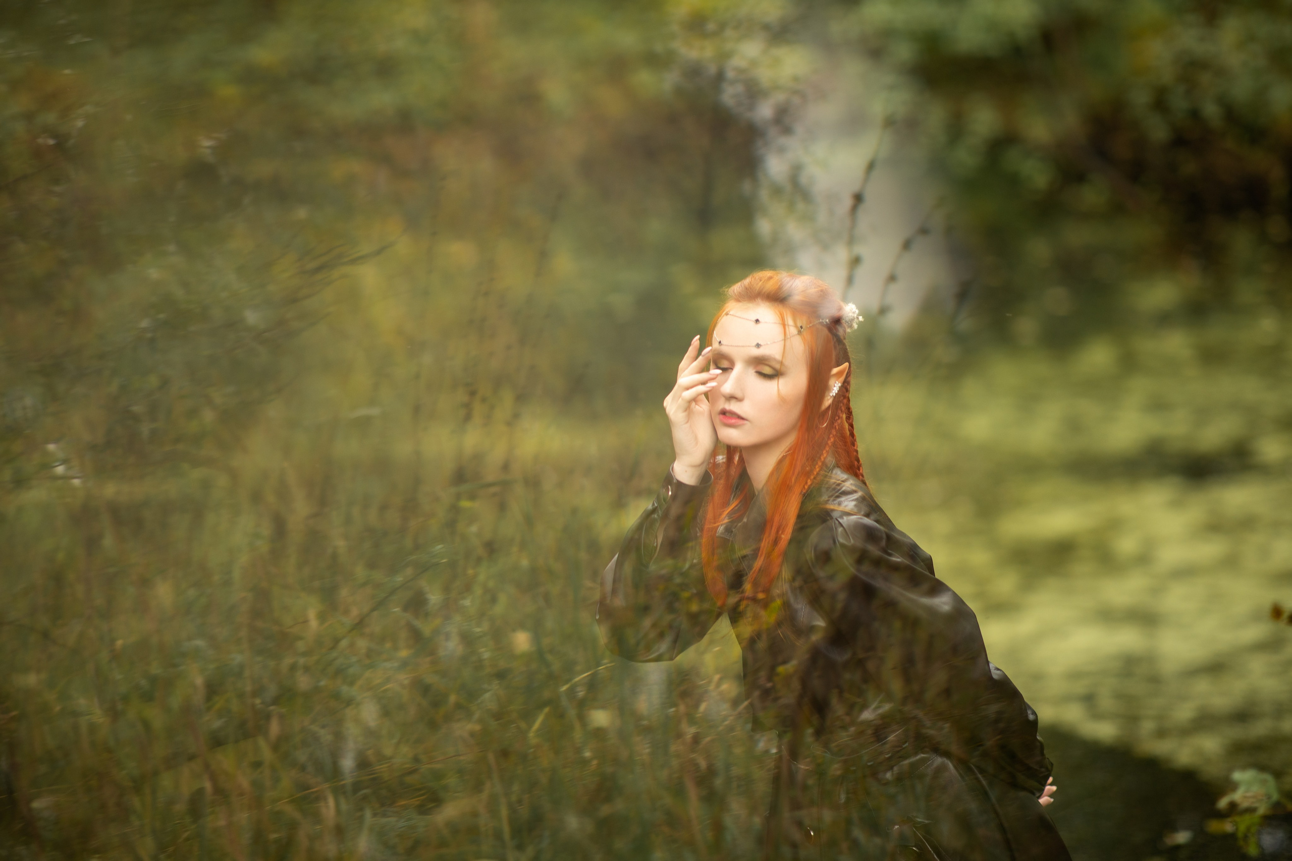 Волшебный лес