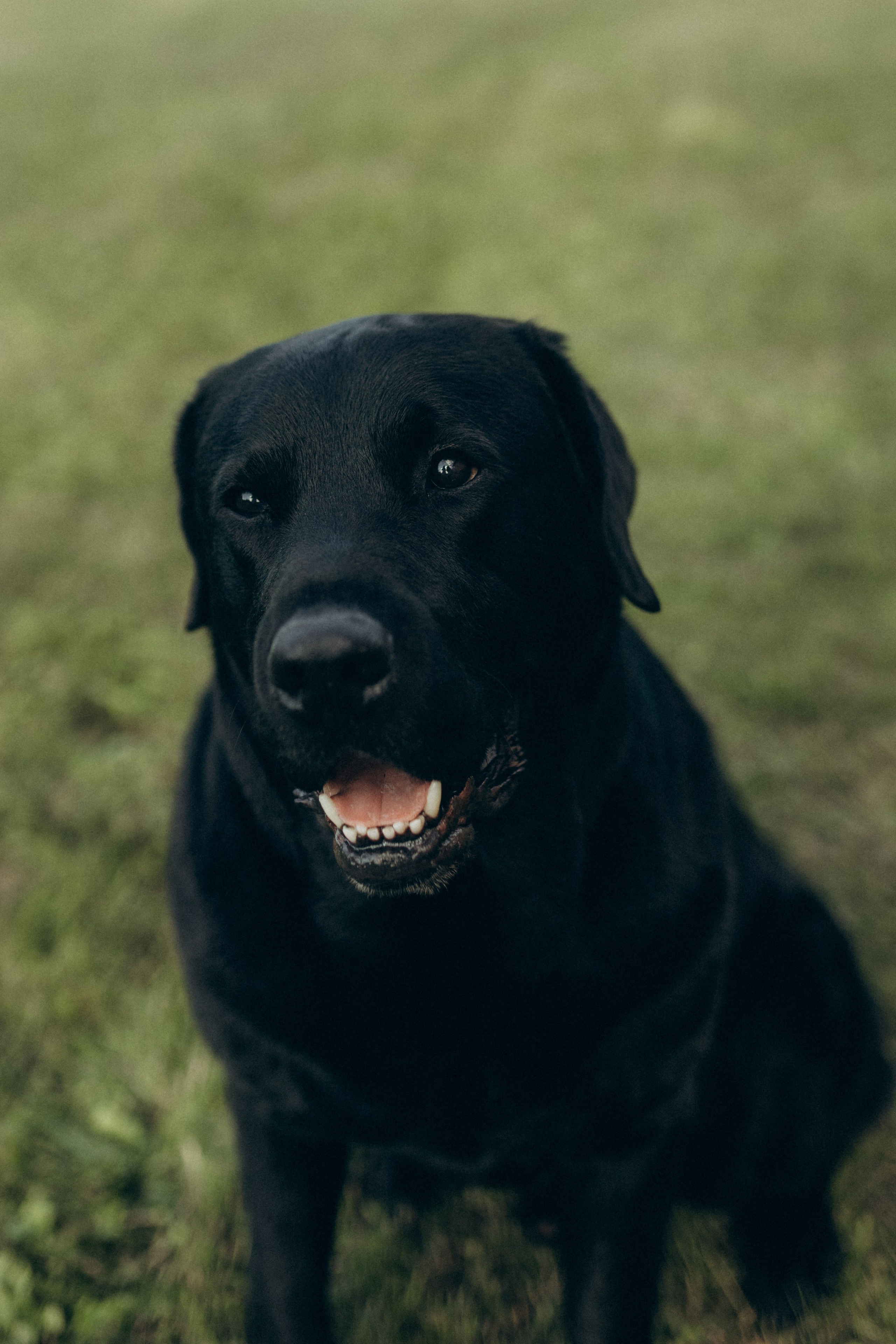 Артём, Полина, Серёжа. Фотограф НОГИНСК, Москва, Анастасия Белая