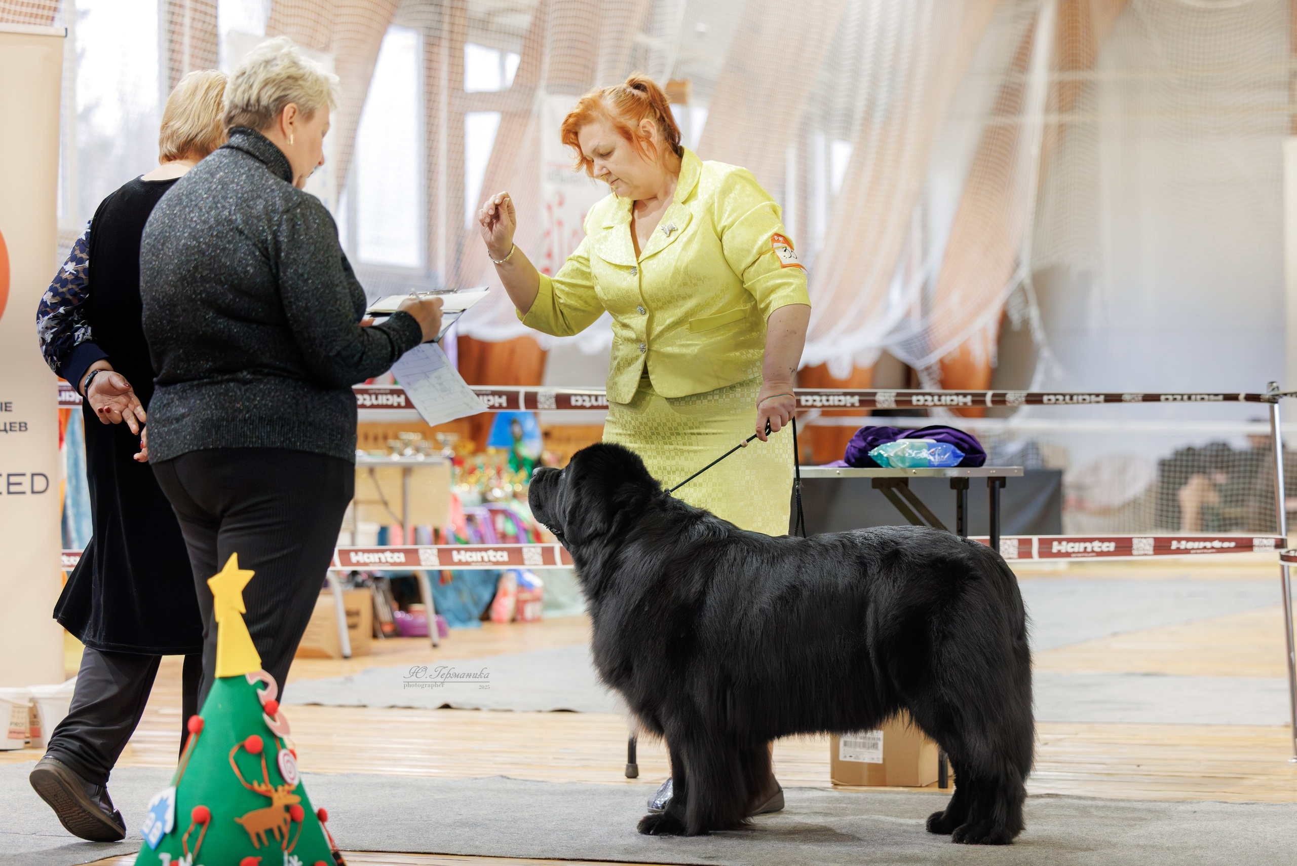 Тверь 21.12.2025. Фотограф-анималист Юлия Германика