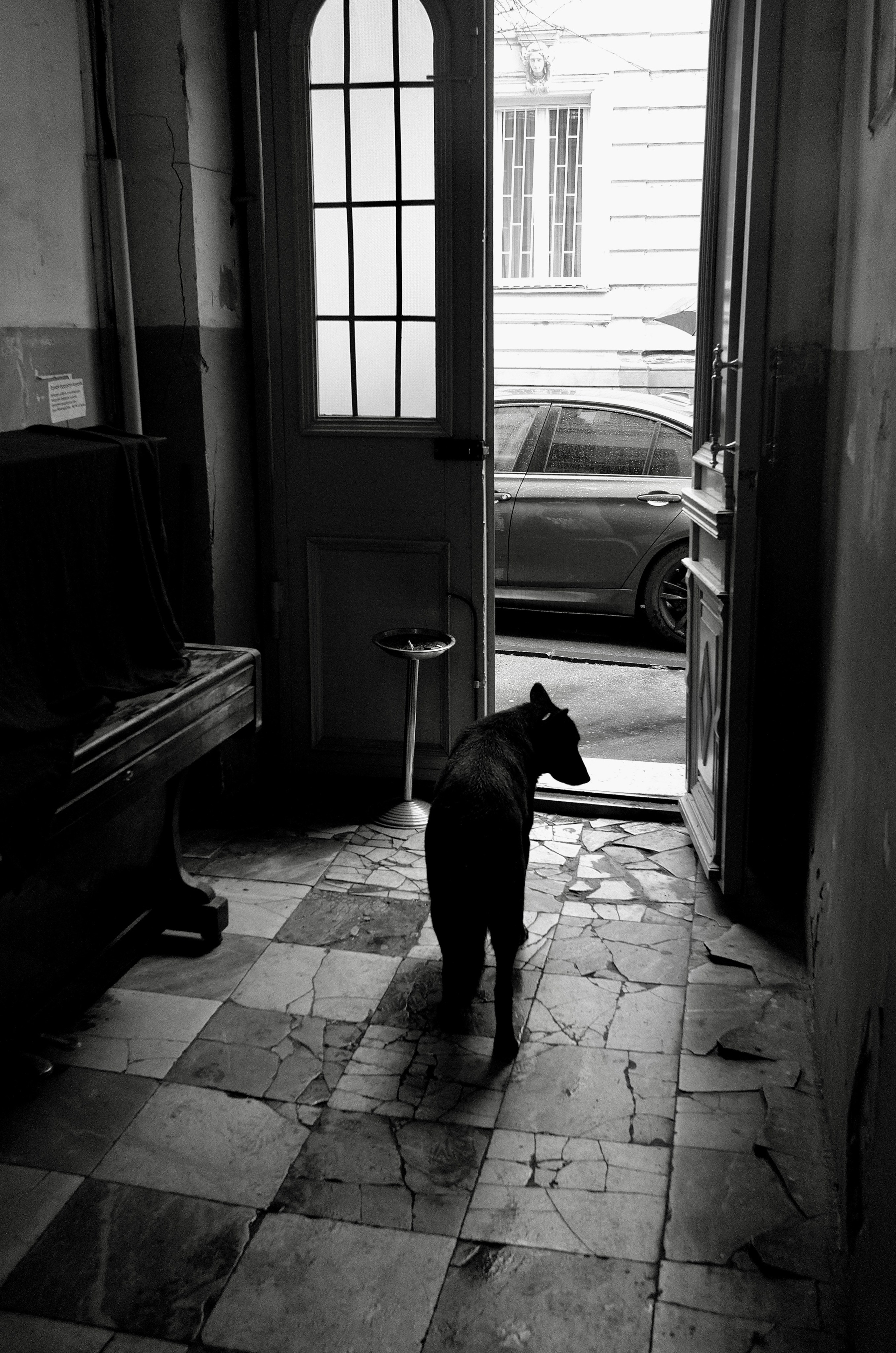 Фотографии из Грузии для интерьеров. Фотографии Руслана Сайдалиева (Рус Сай)