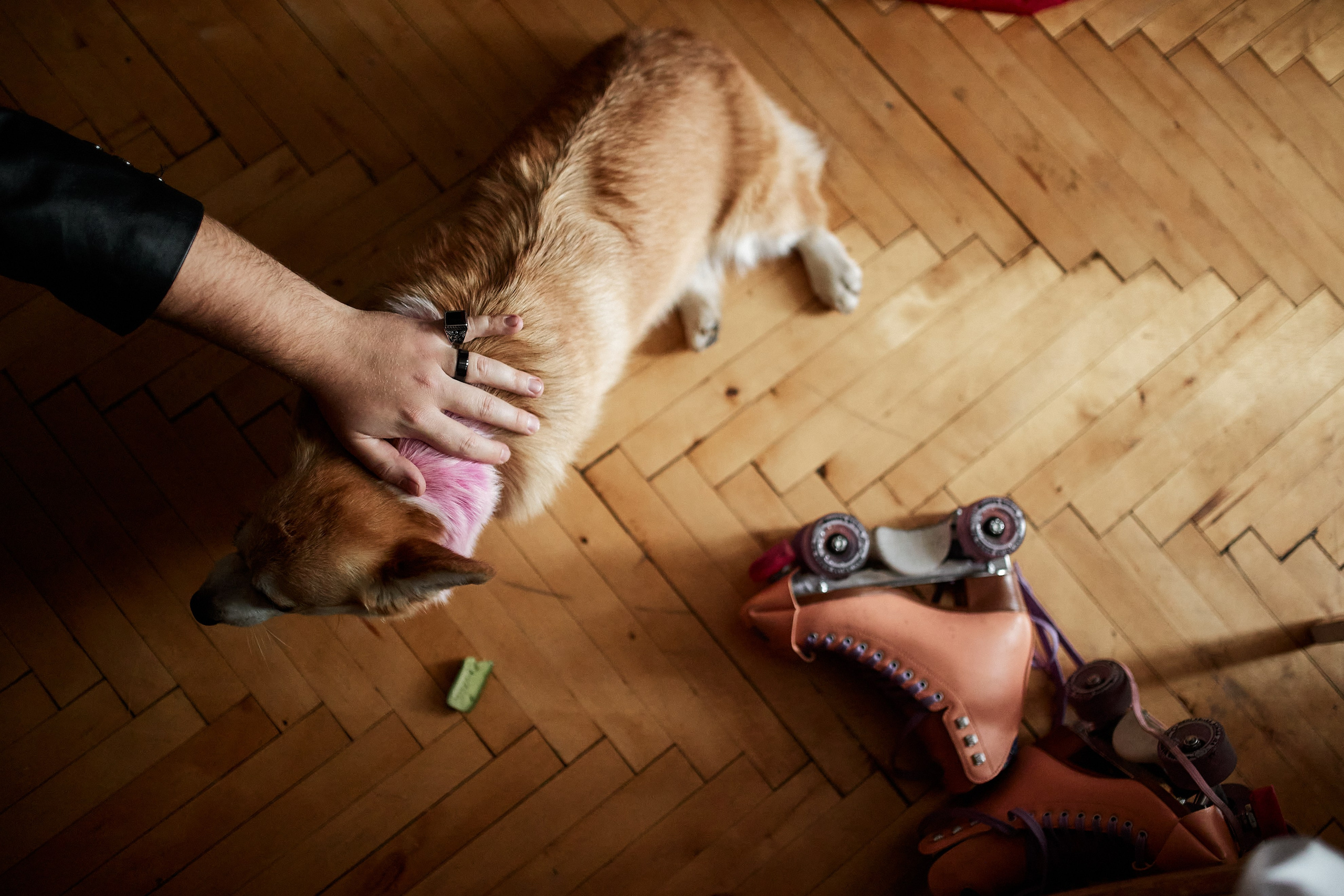 Дима и Алина. Свадебный фотограф в Москве Николай Болт