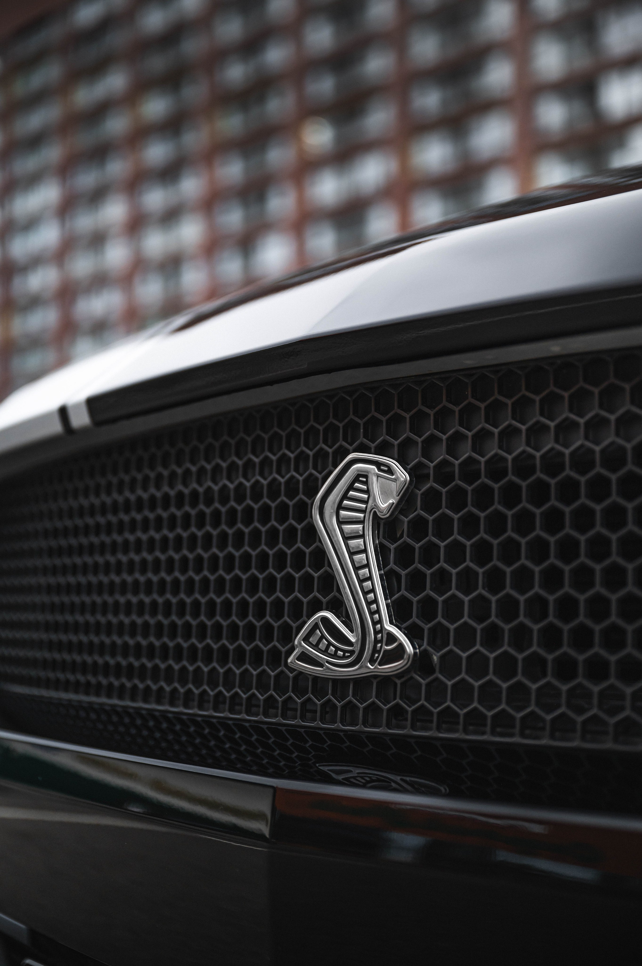 Ford Mustang. Автомобильный фотограф в Москве — Сидоров Дмитрий