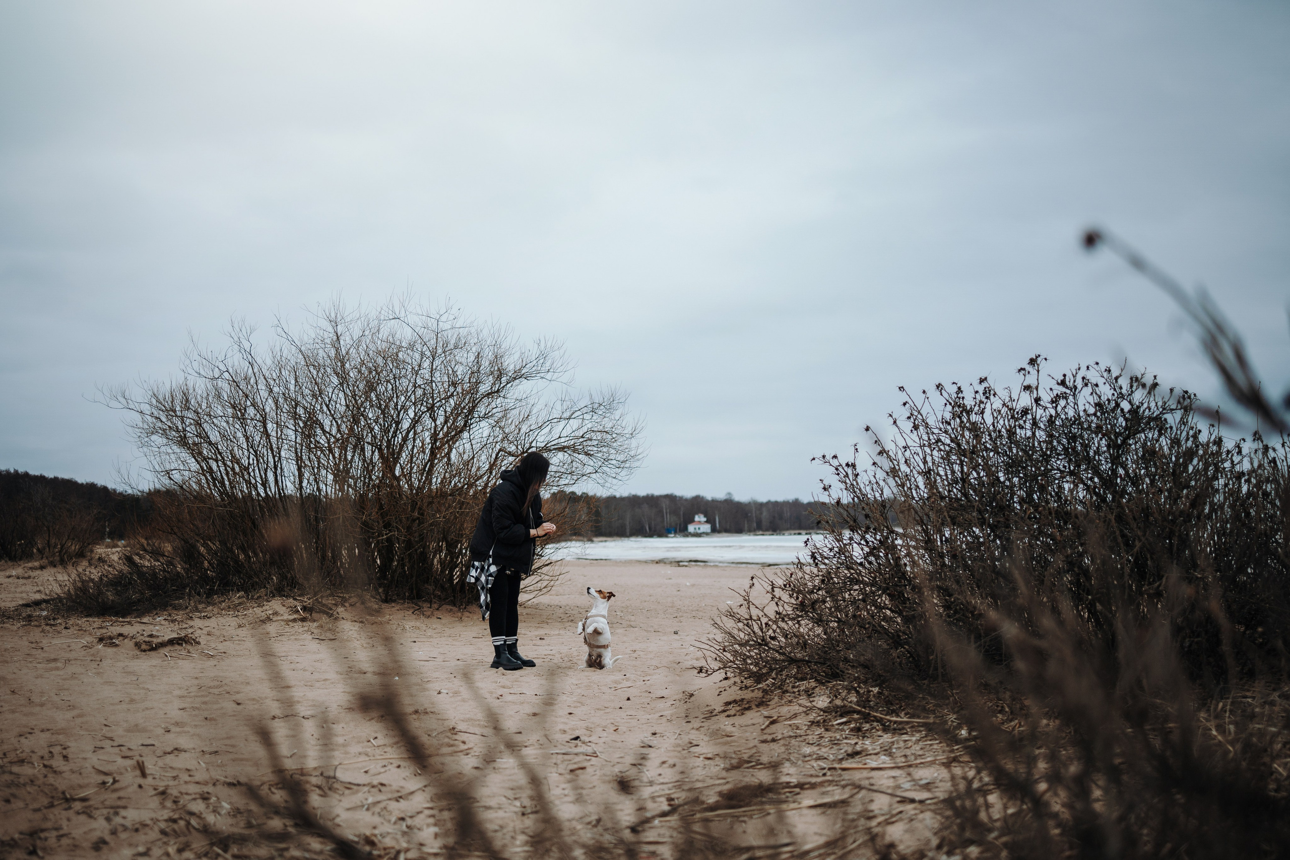 Саша и Джеки. Фотограф — Анималист | Санкт-Петербург