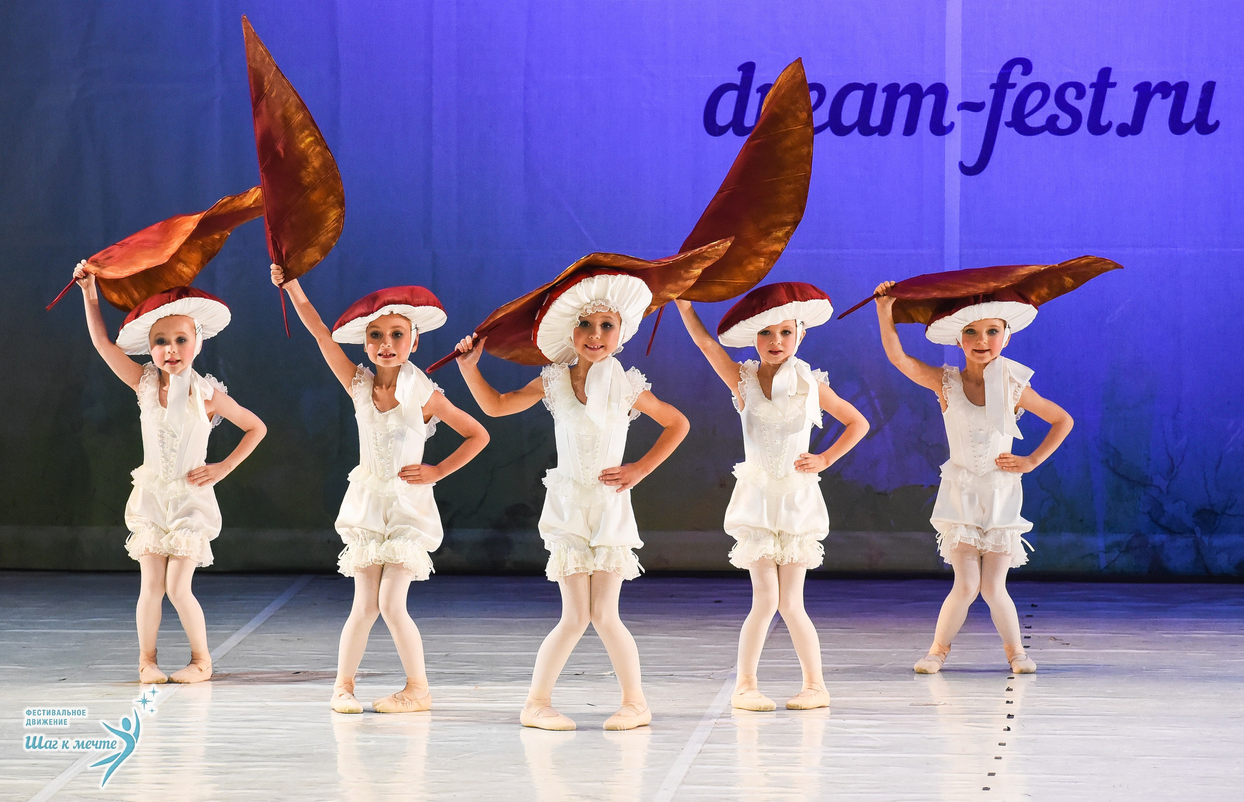 15.11.2025 Фестивальное движение «Шаг к мечте» г. Москва. Медиастудия Фото Концепт