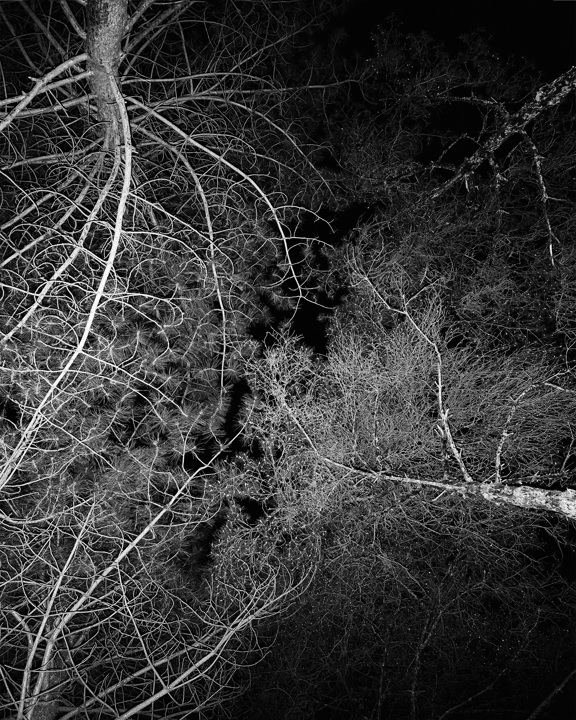 RED STREET. Фотограф Алматы | Весь мир — Никита Колодин