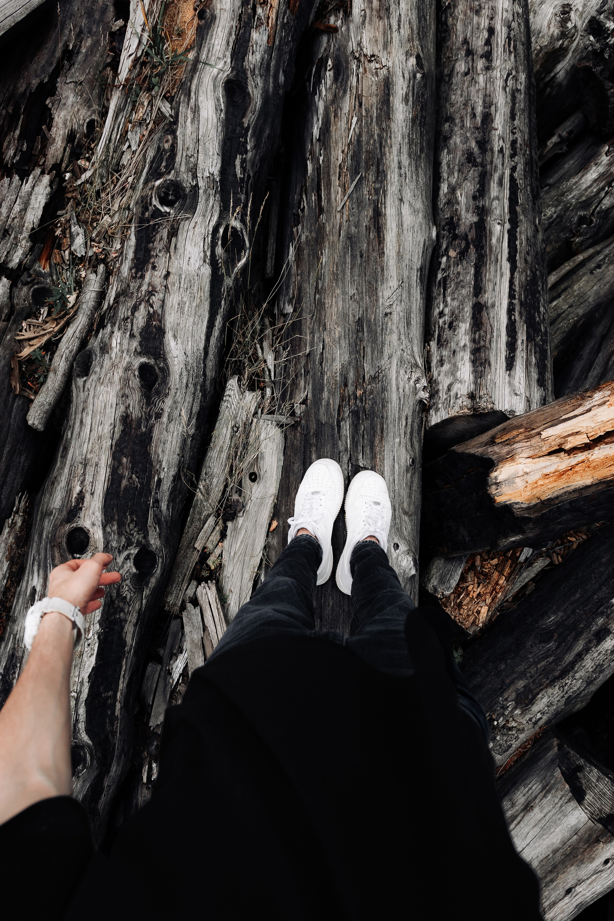 Жизнь. Фотограф Алматы | Весь мир — Никита Колодин