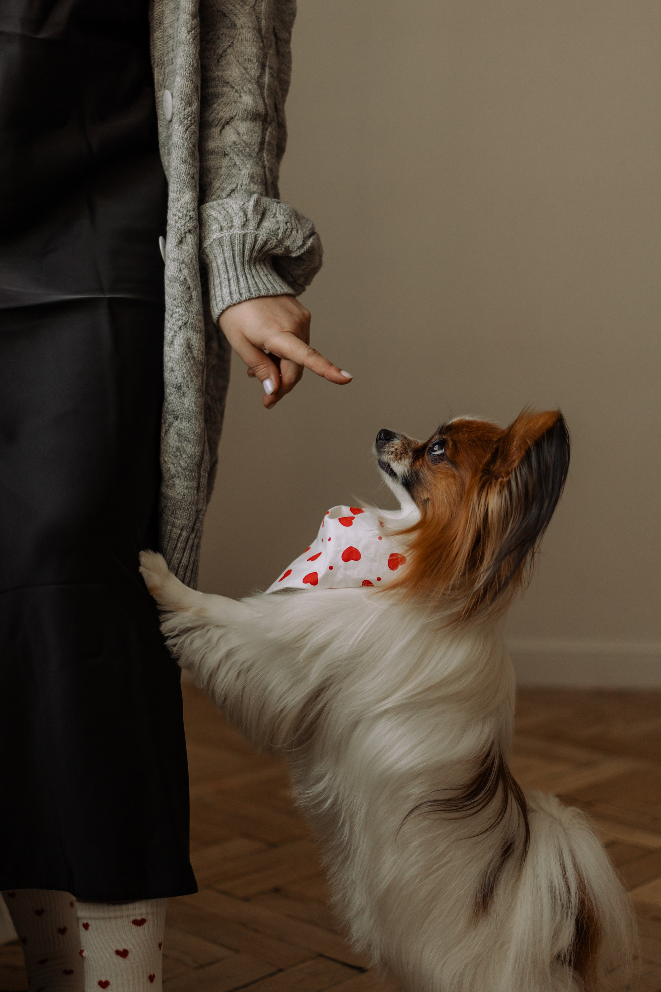 Женя и Брю. Фотограф — Анималист | Санкт-Петербург