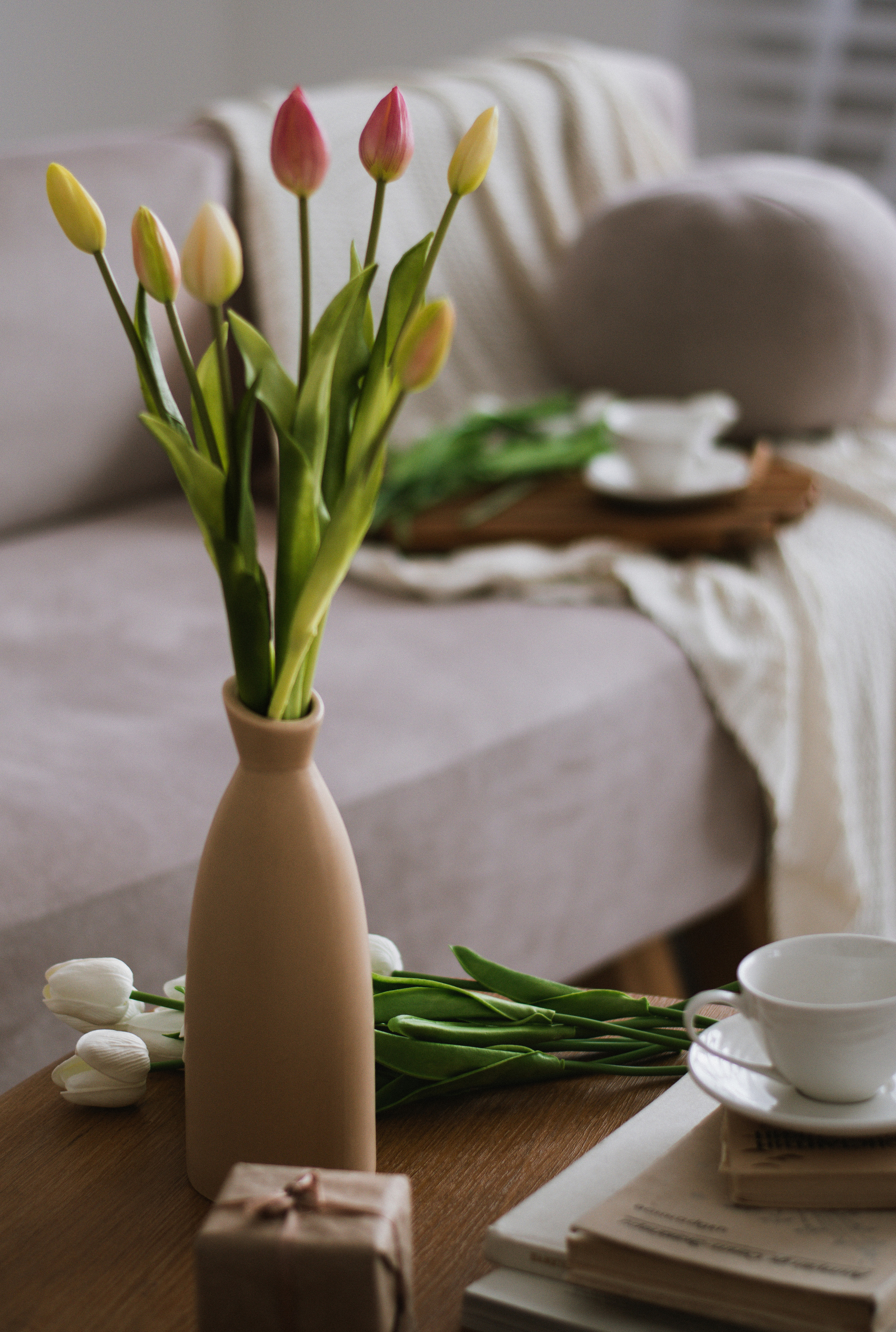 Вероника. В преддверии весны. Фотограф СПб Е.Эванс